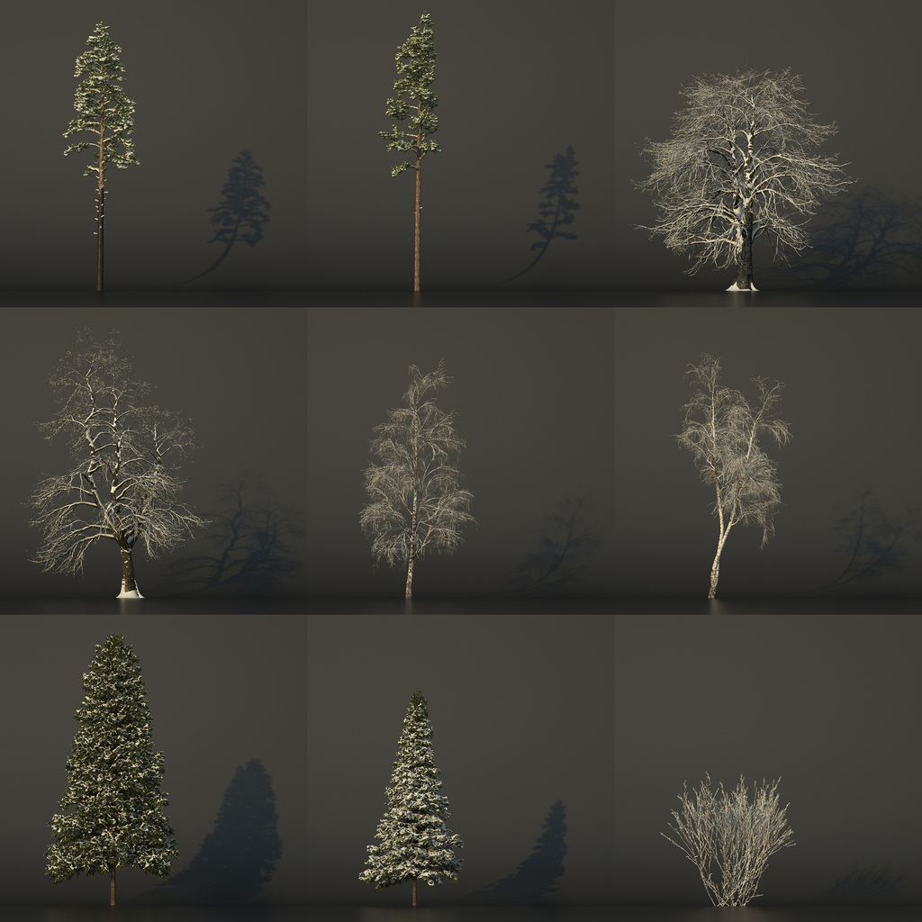 Transient
