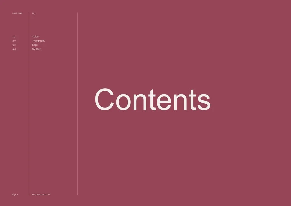 Holum+Studio+Graphic+and+Web+Design+in+Oslo+Portfolio+BA3+2.jpg
