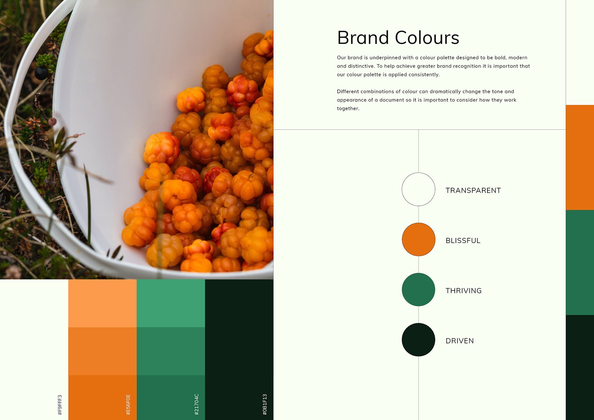 Fortune 500 Logo Color Palettes by Bold Web Design