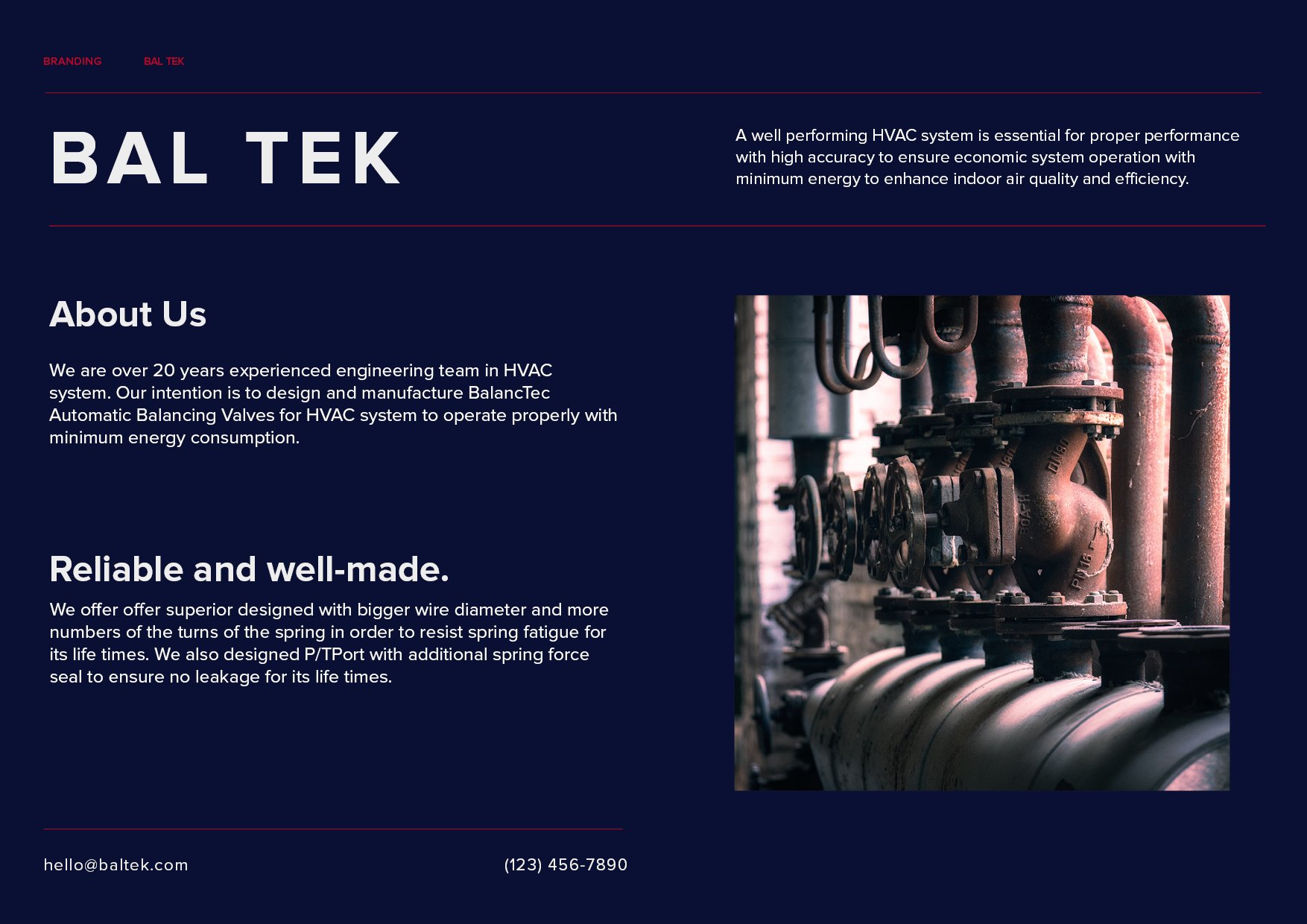 Bal Tek Brand Guidelines9.jpg