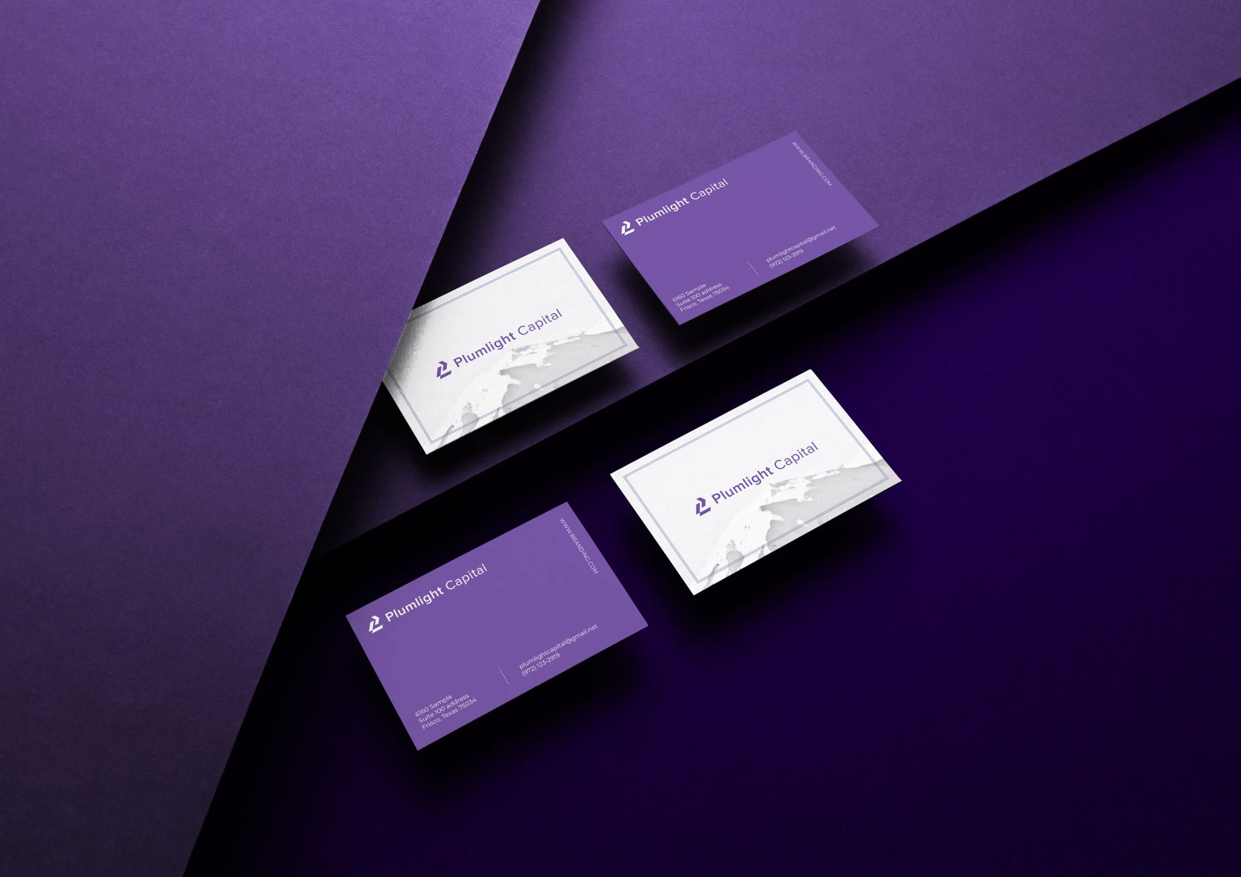 Plumlight Capital Logo Presentation14.jpg