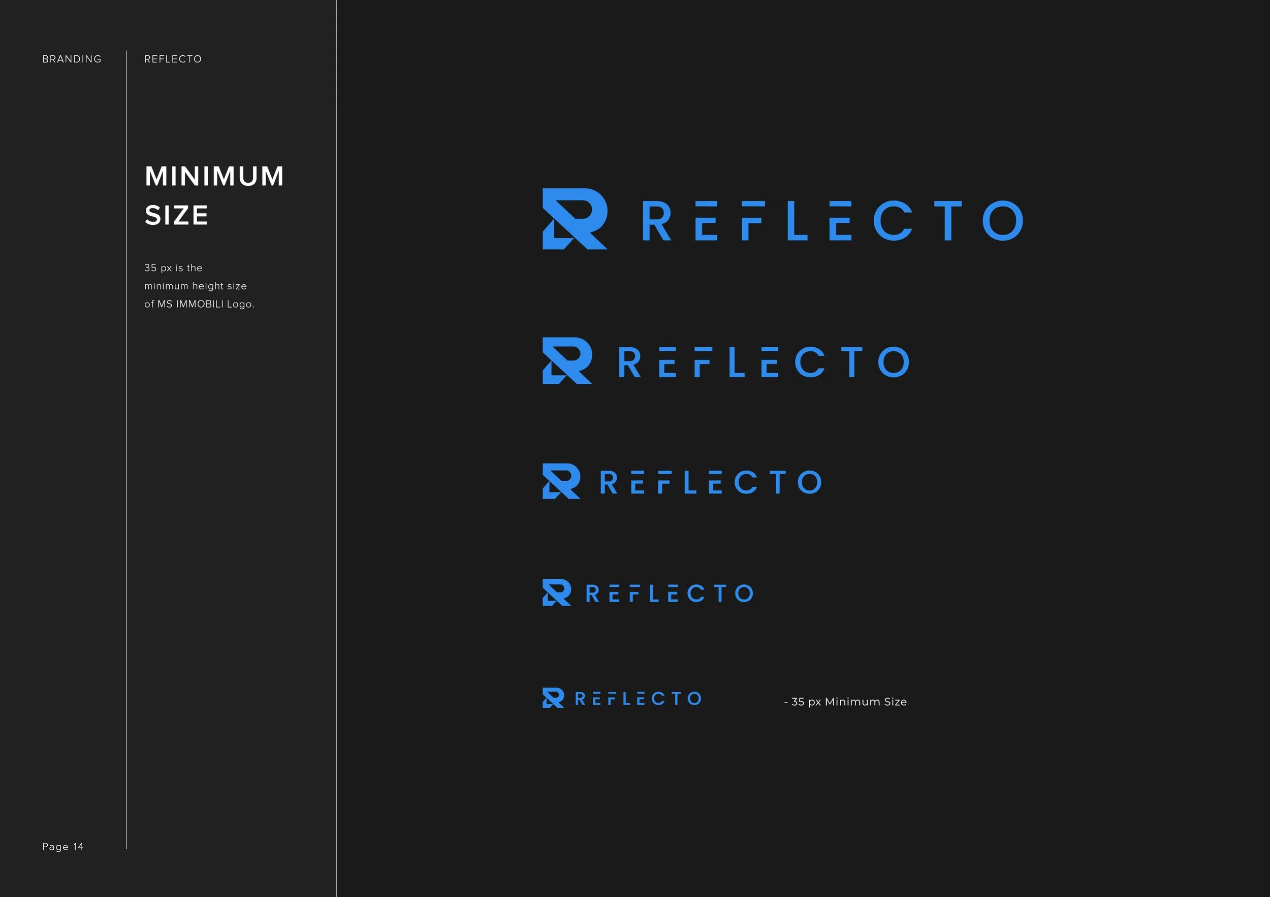 Reflecto Logo Presentation v114.jpg