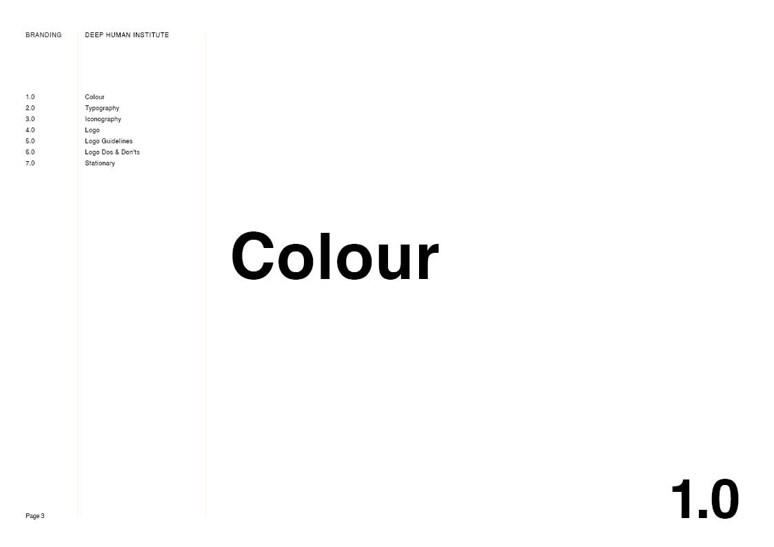 Deep Human Institute - Presentation3.jpg