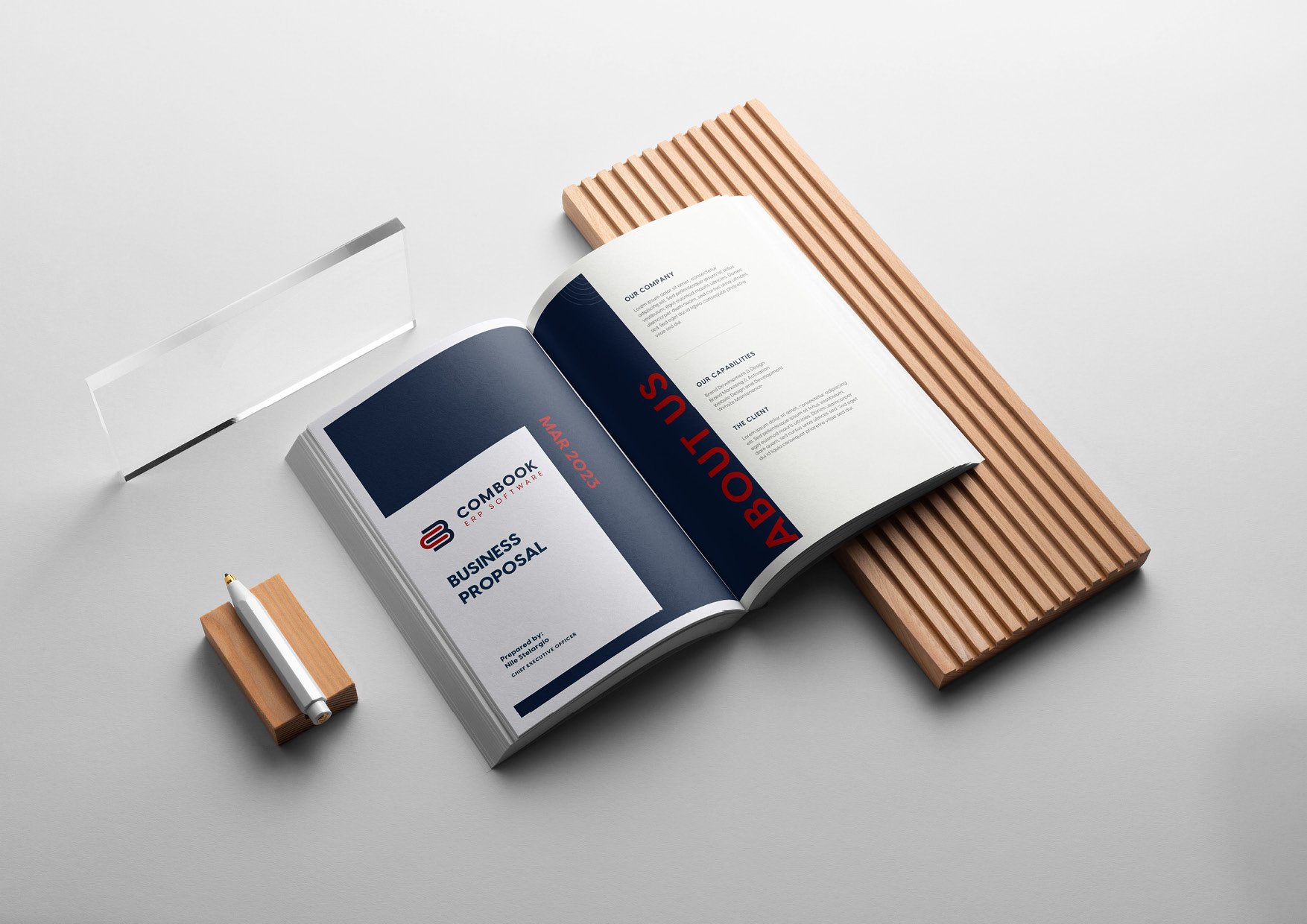 Combook ERP Software Brand Guidelines29.jpg