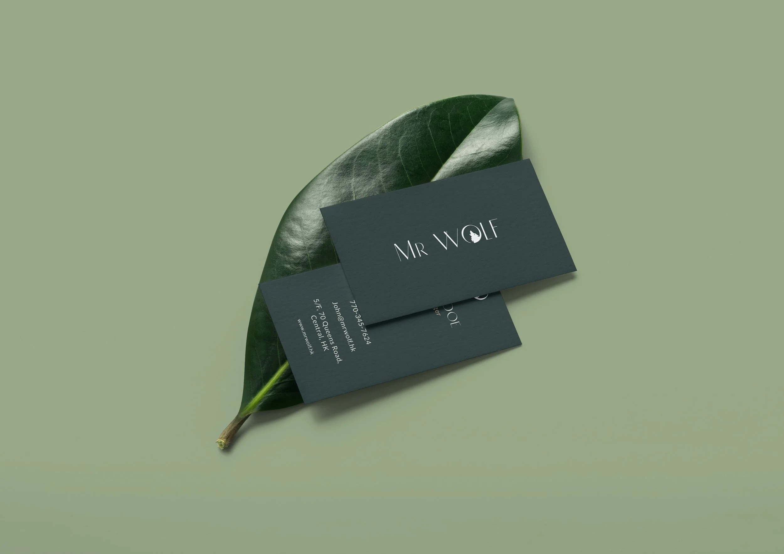 Mr Wolf V114.jpg