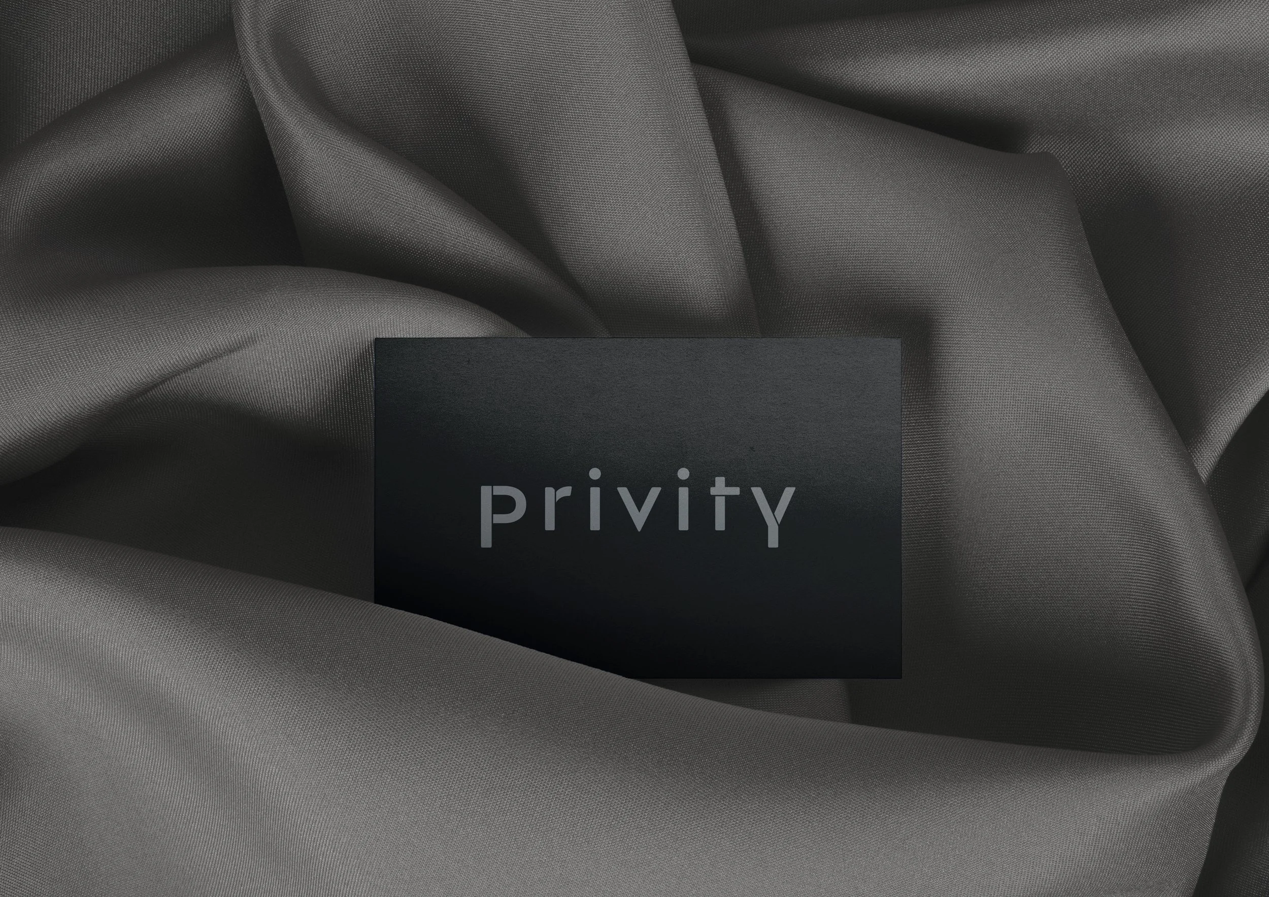 PRIVITY AI17.jpg