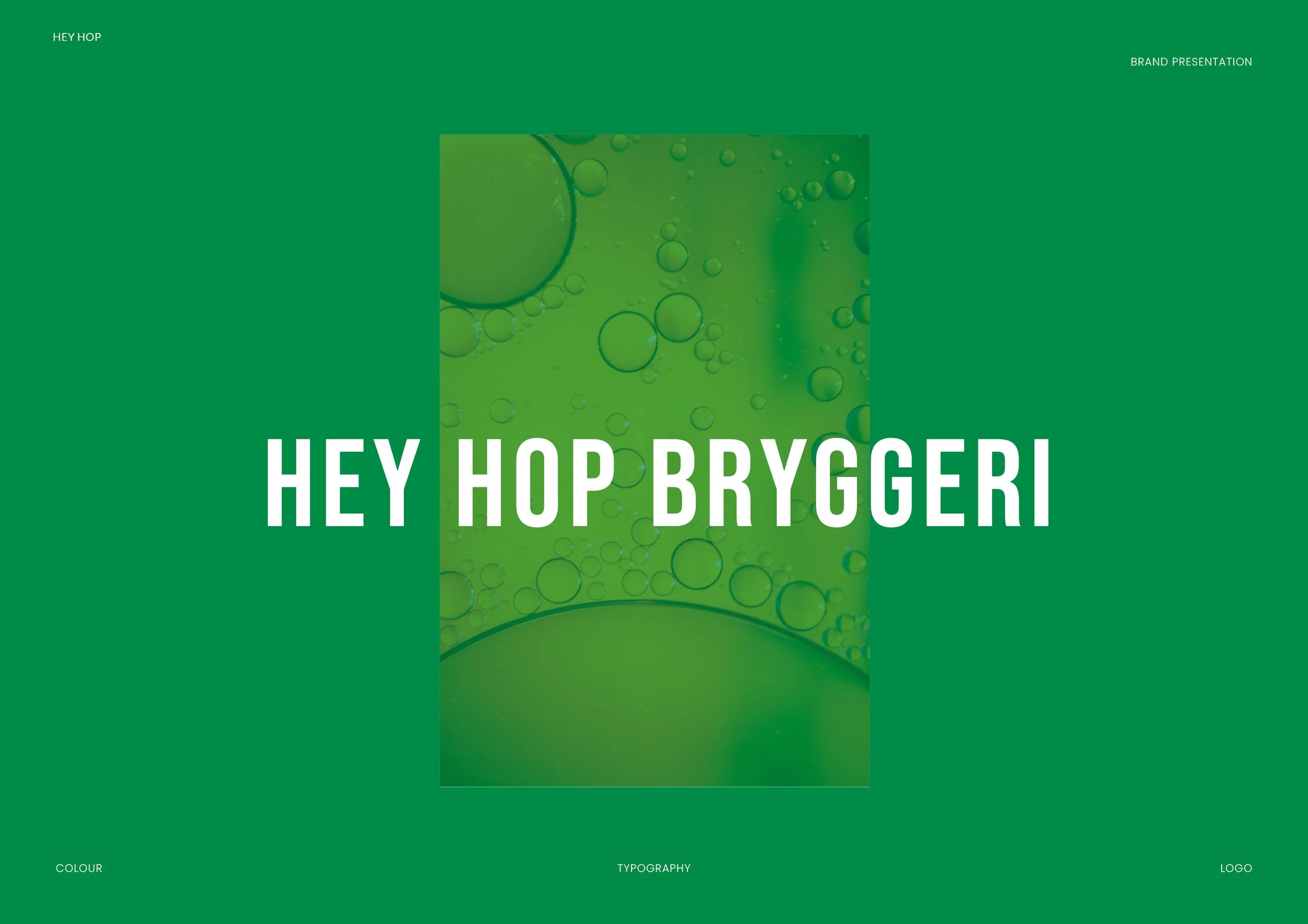 Hey Hop Brand Presentation.jpg