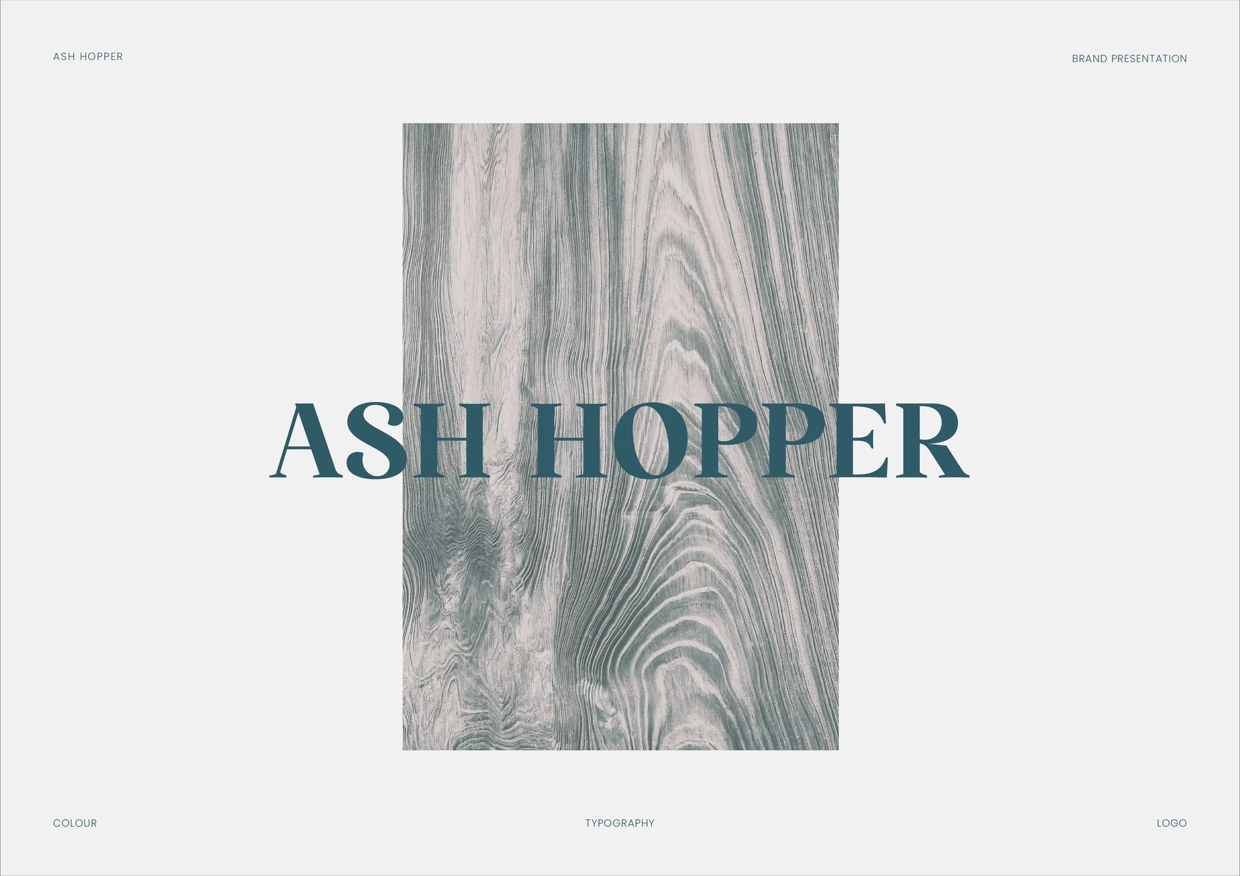 Ash Hopper