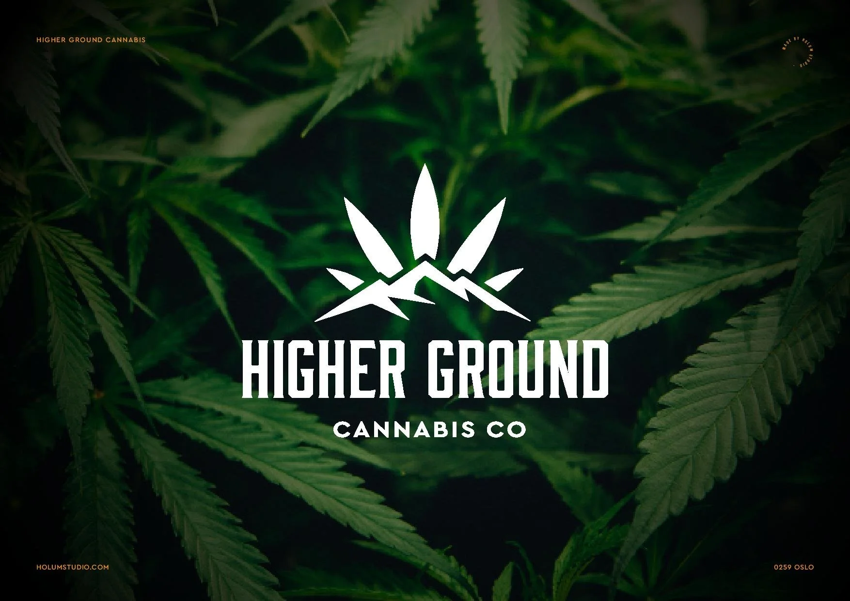 Higher Ground Cannabis