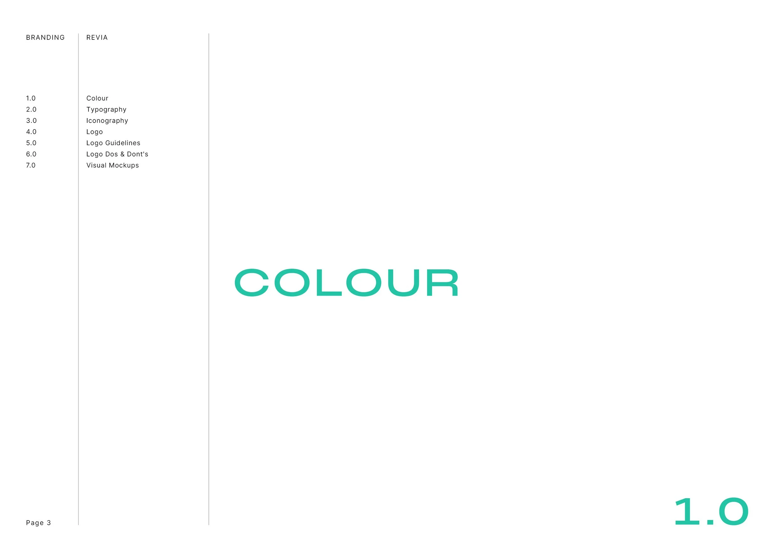 REVIA-LOGO-AND-BRAND-GUIDELINES-BOOK3.jpg