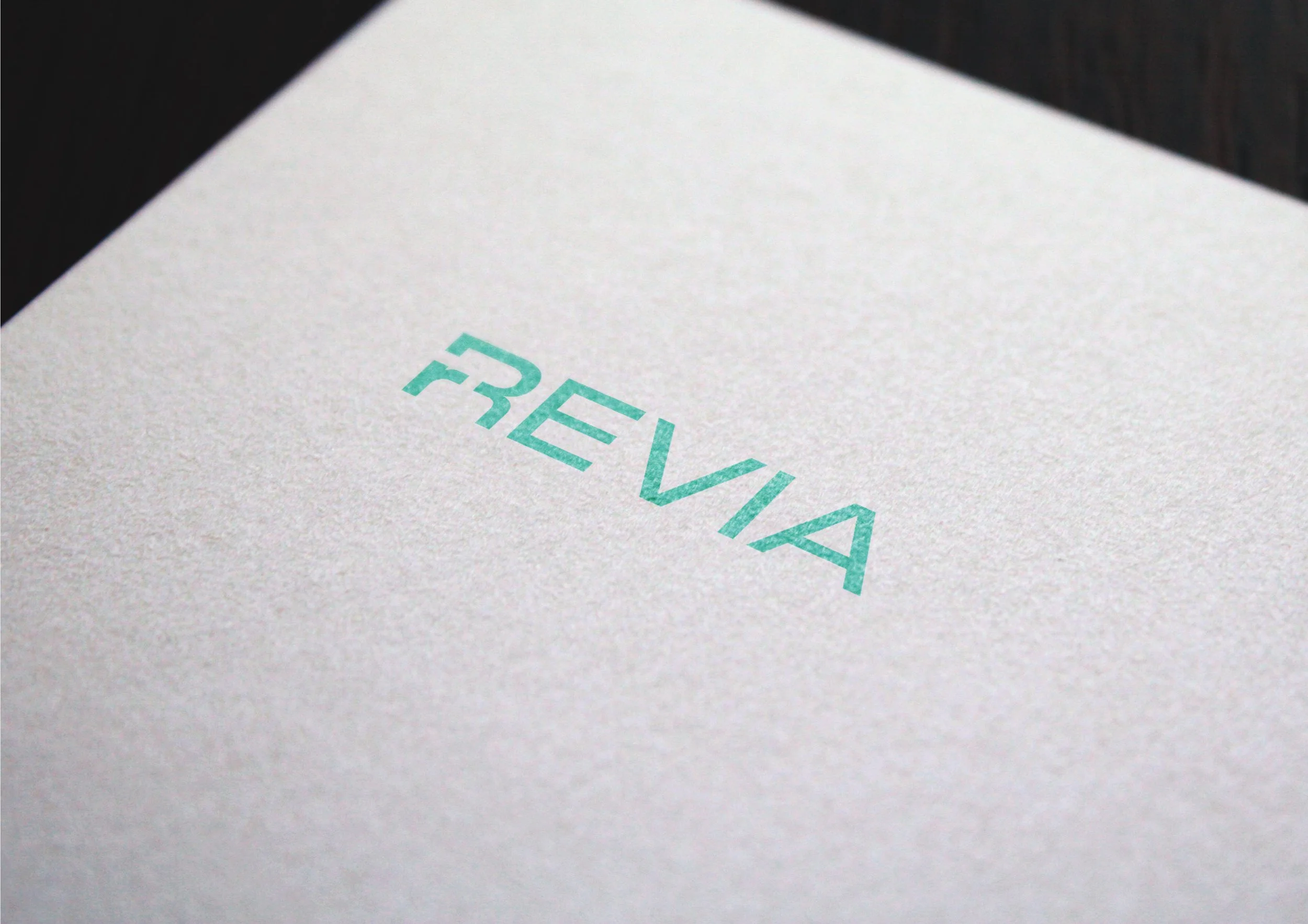 REVIA-LOGO-AND-BRAND-GUIDELINES-BOOK27.jpg
