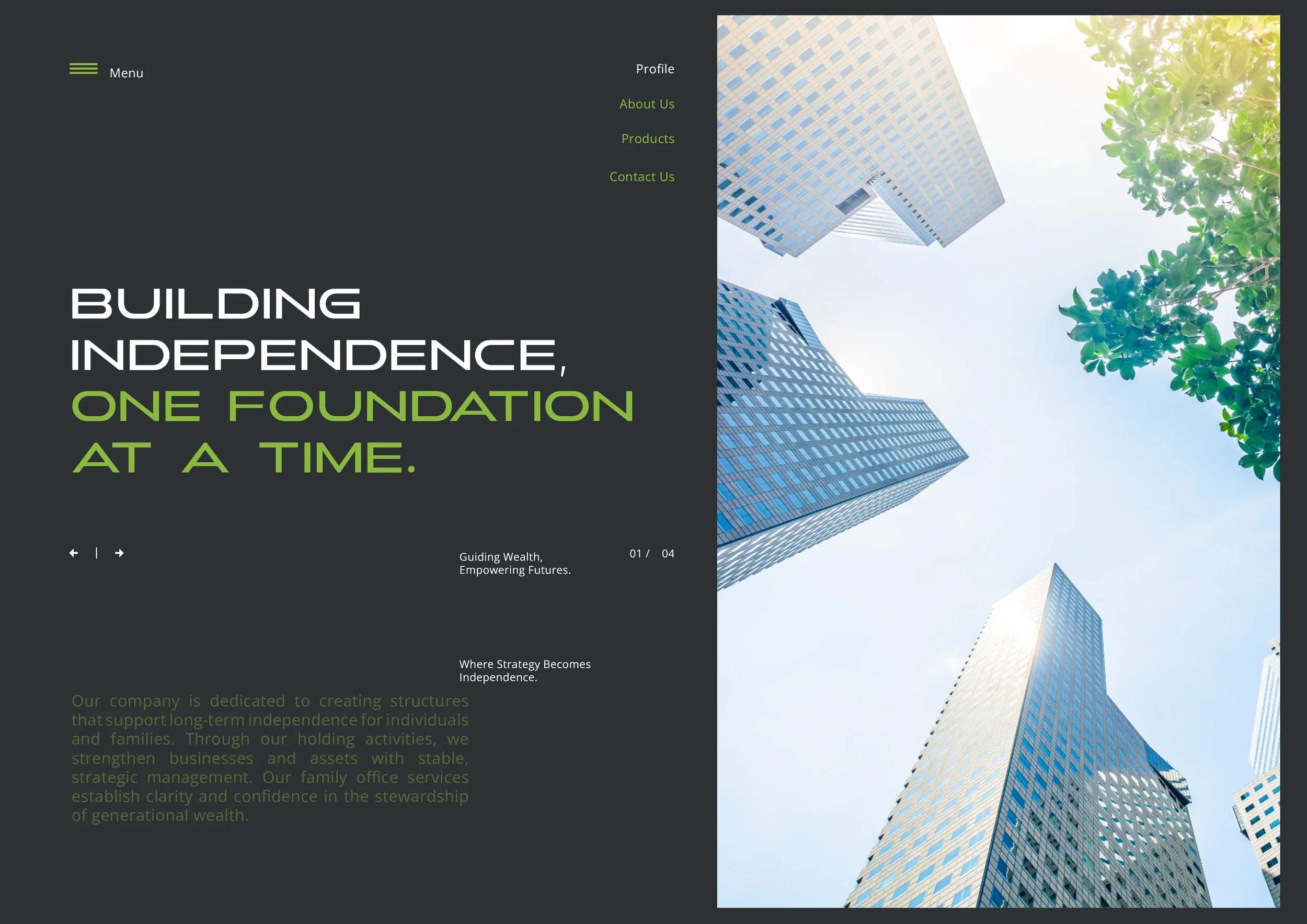 Finion Brand Presentation Final8.jpg