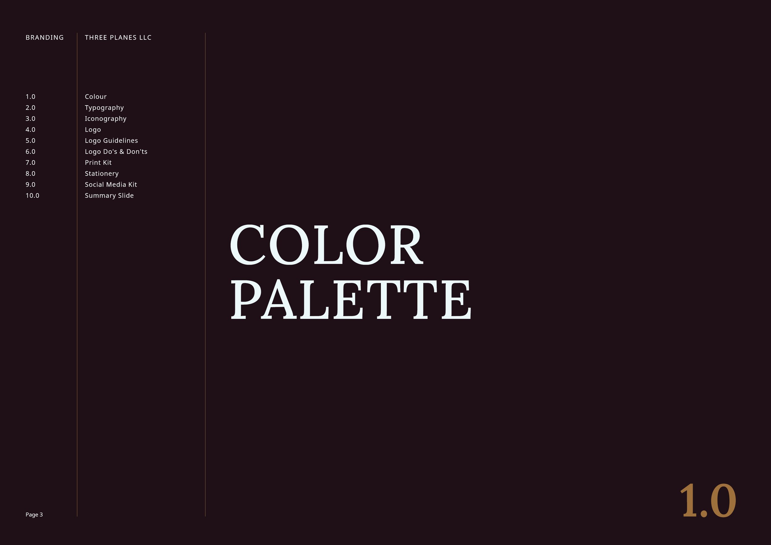 Three Planes LLC Brand Presentation Final3.jpg