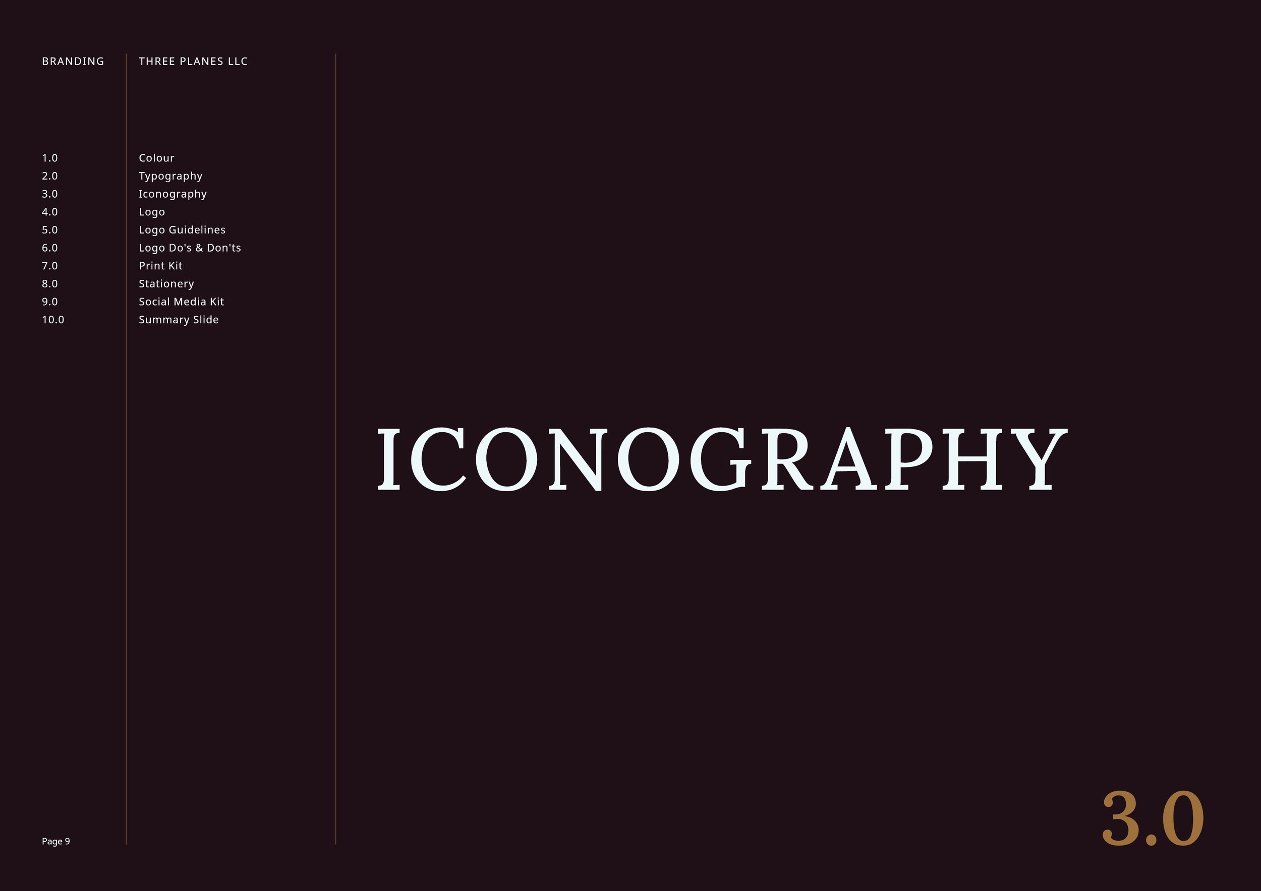 Three Planes LLC Brand Presentation Final9.jpg