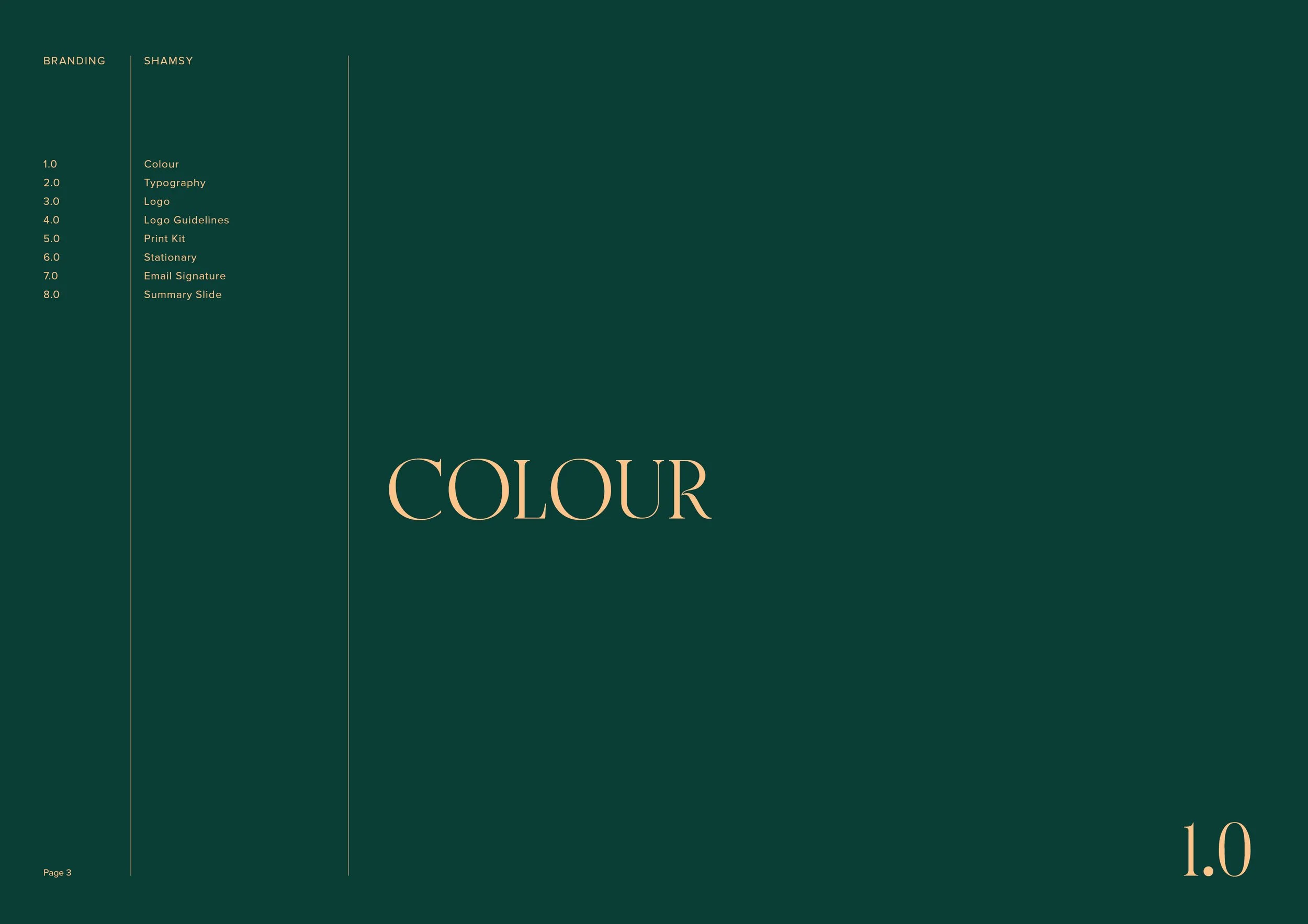 Shamsy Brand Presentation Final3.jpg