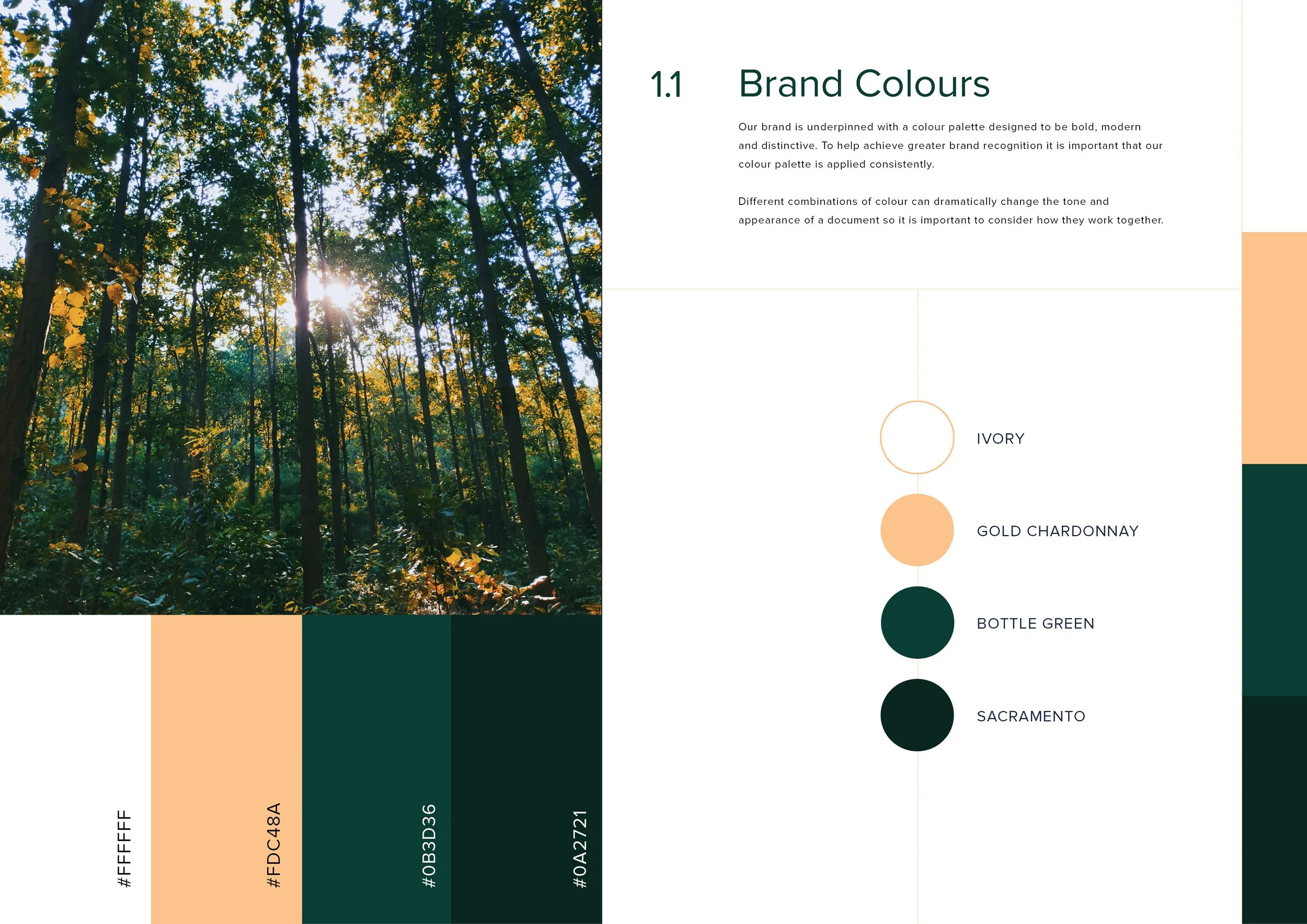 Shamsy Brand Presentation Final4.jpg