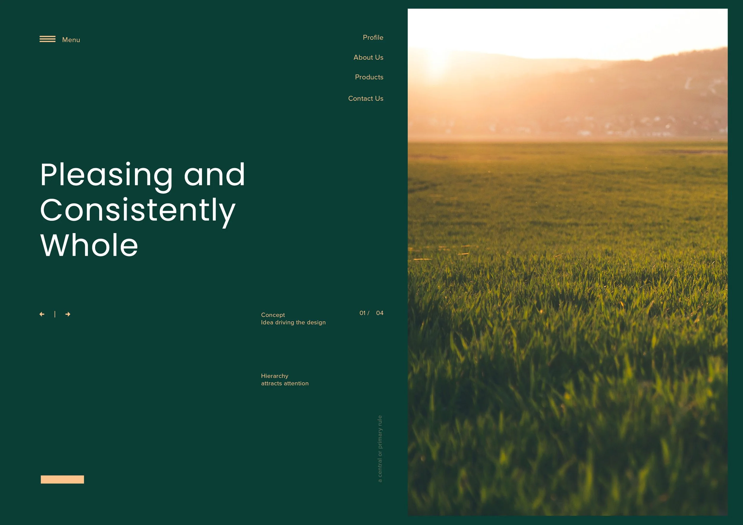 Shamsy Brand Presentation Final7.jpg