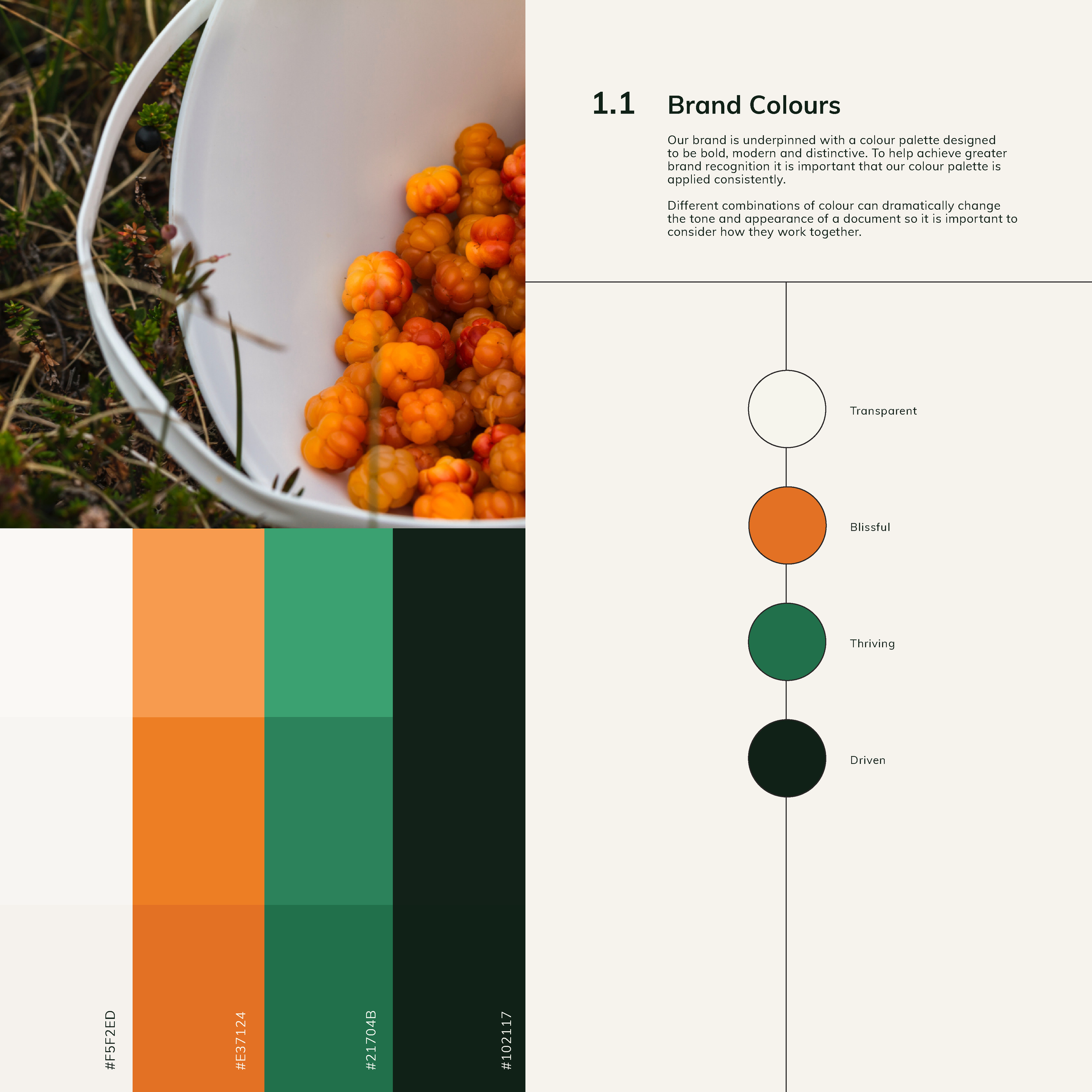 Soyland&Co Logo and Brand Identity by Holum Studio3.png