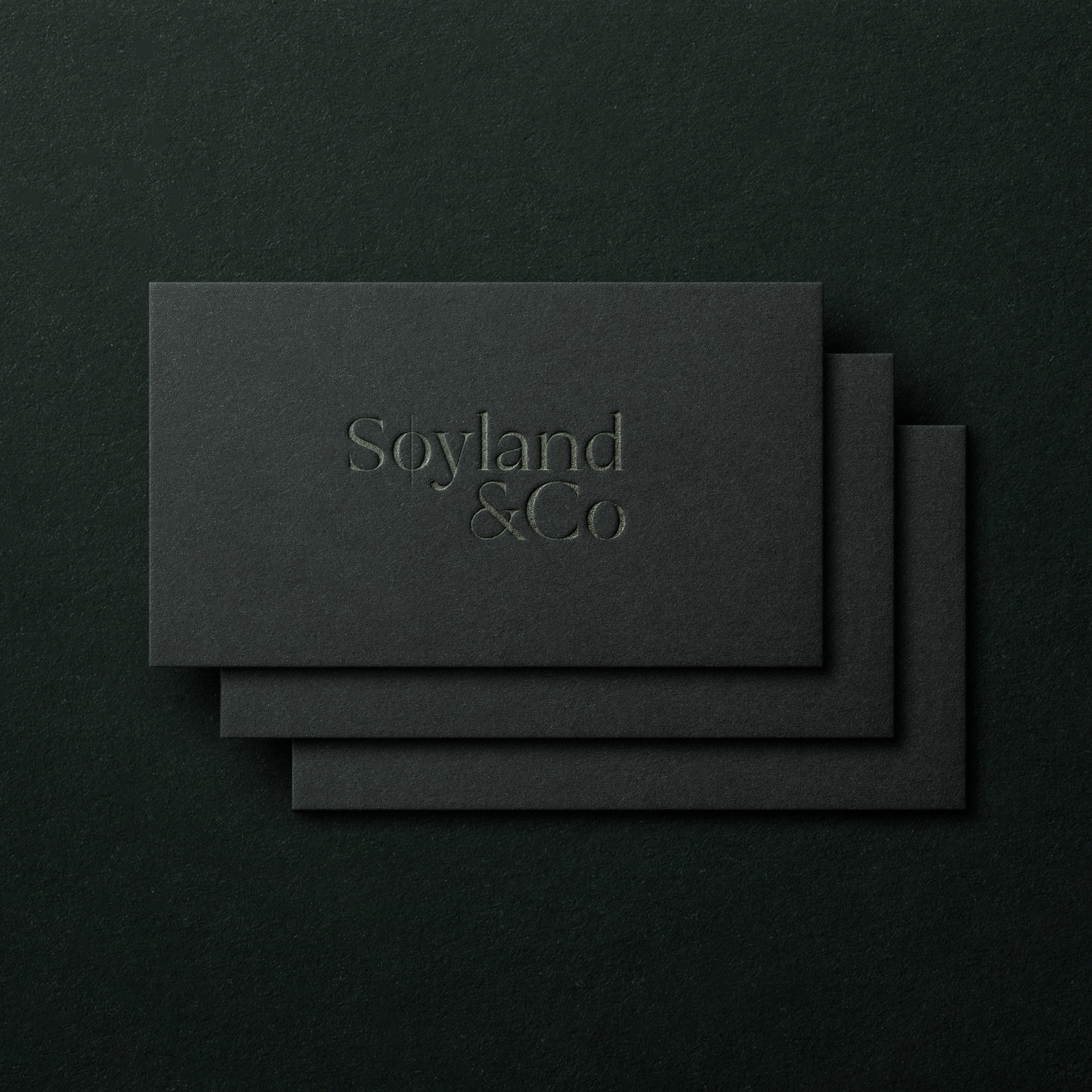 Soyland&Co Logo and Brand Identity by Holum Studio14.png