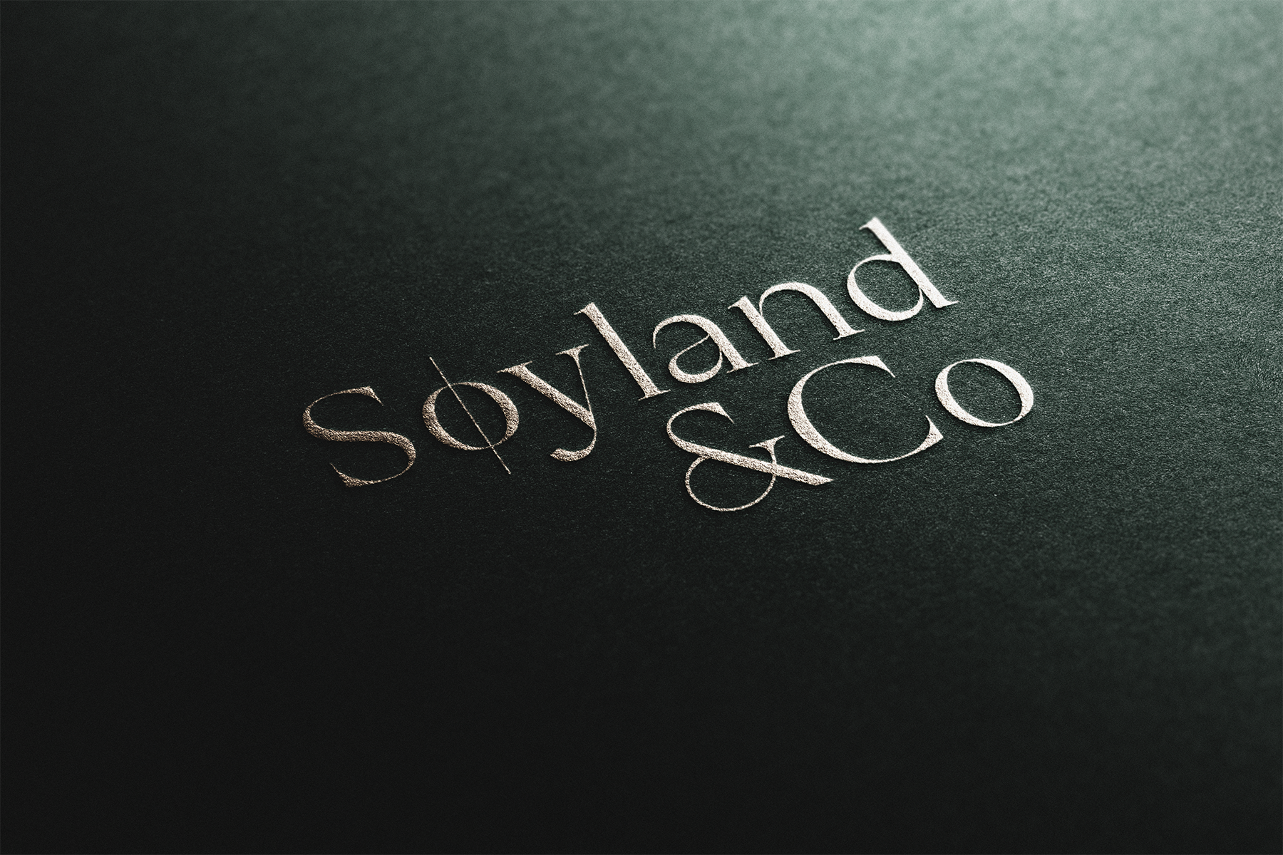 Soyland_Wordmark B.png