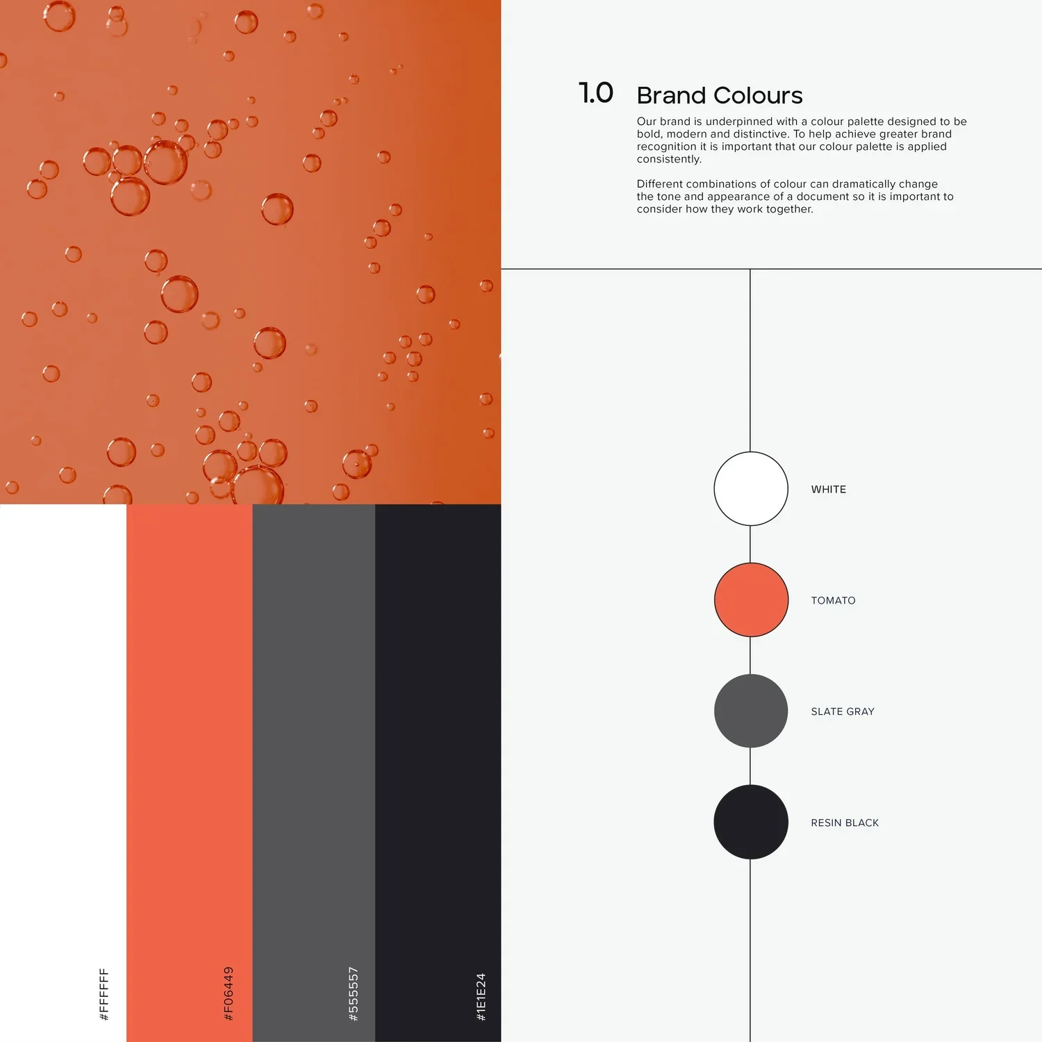 Search+Brand+Presentation3.webp