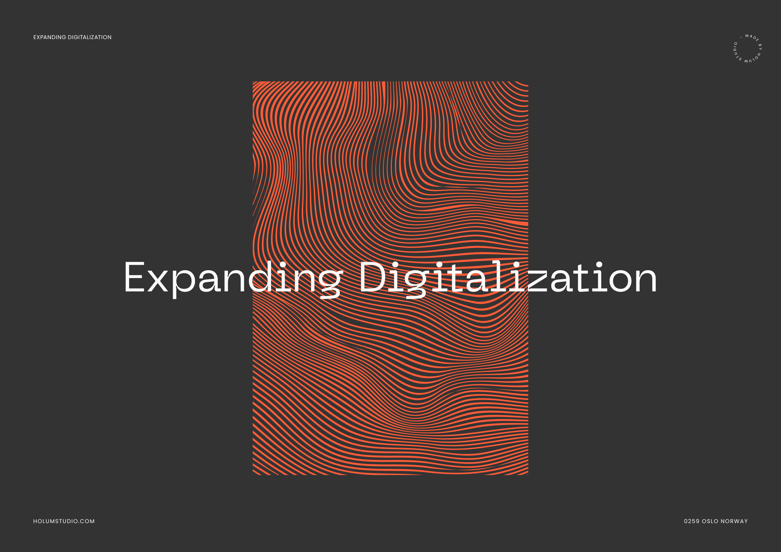 DIGIT+Brand+and+Website+Presentation+by+Holum+Studio.webp