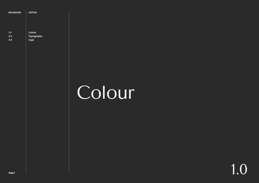 Ortem - Presentation3.png