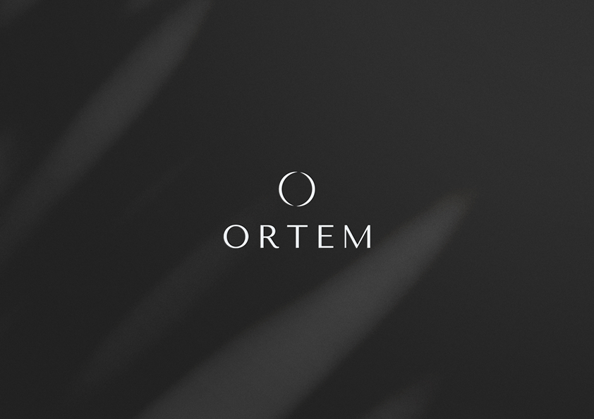 Ortem - Presentation12.png