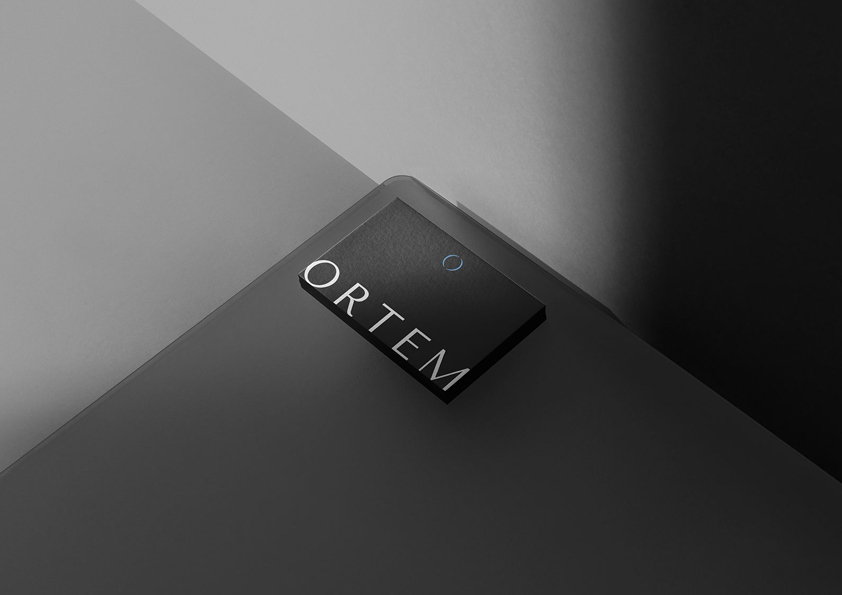 Ortem - Presentation13.png