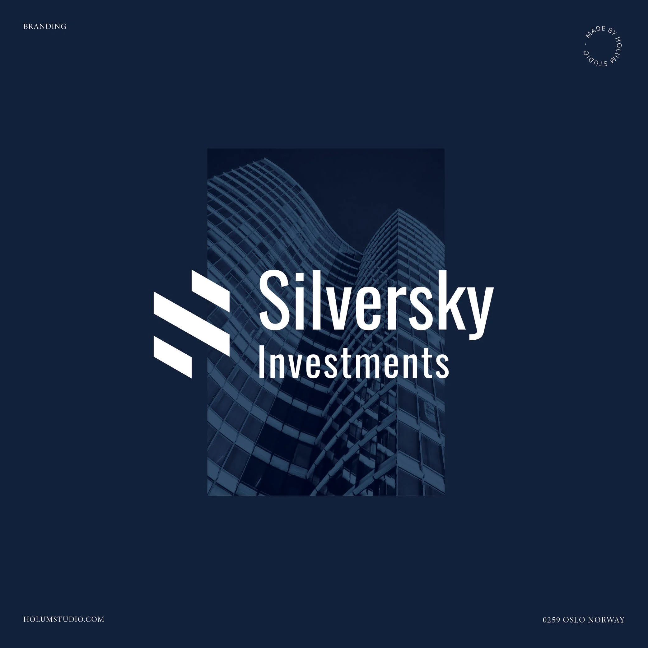 Logo and brand identity SilverSky Investment by Holum Studio.jpg