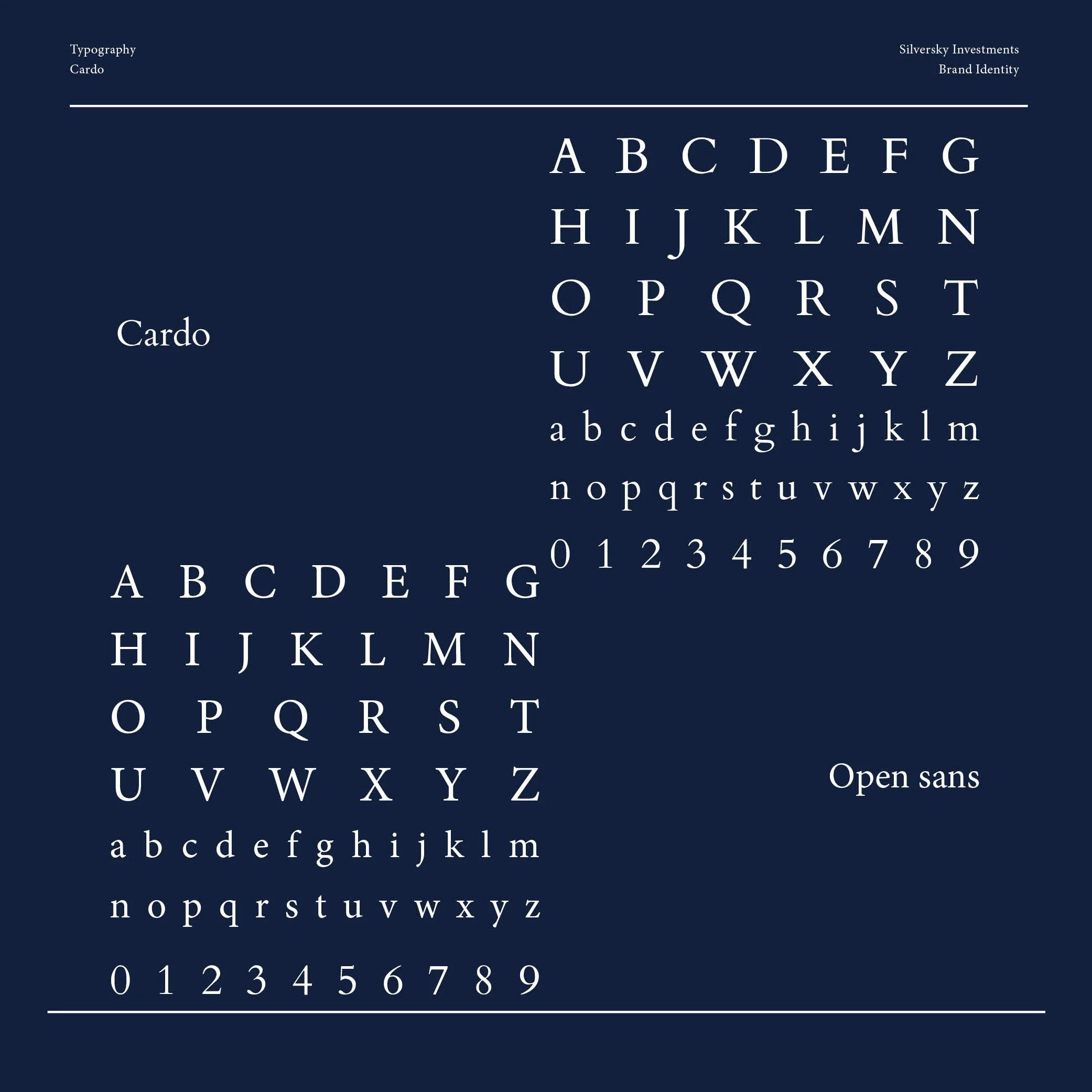 Logo and brand identity SilverSky Investment by Holum Studio7.jpg