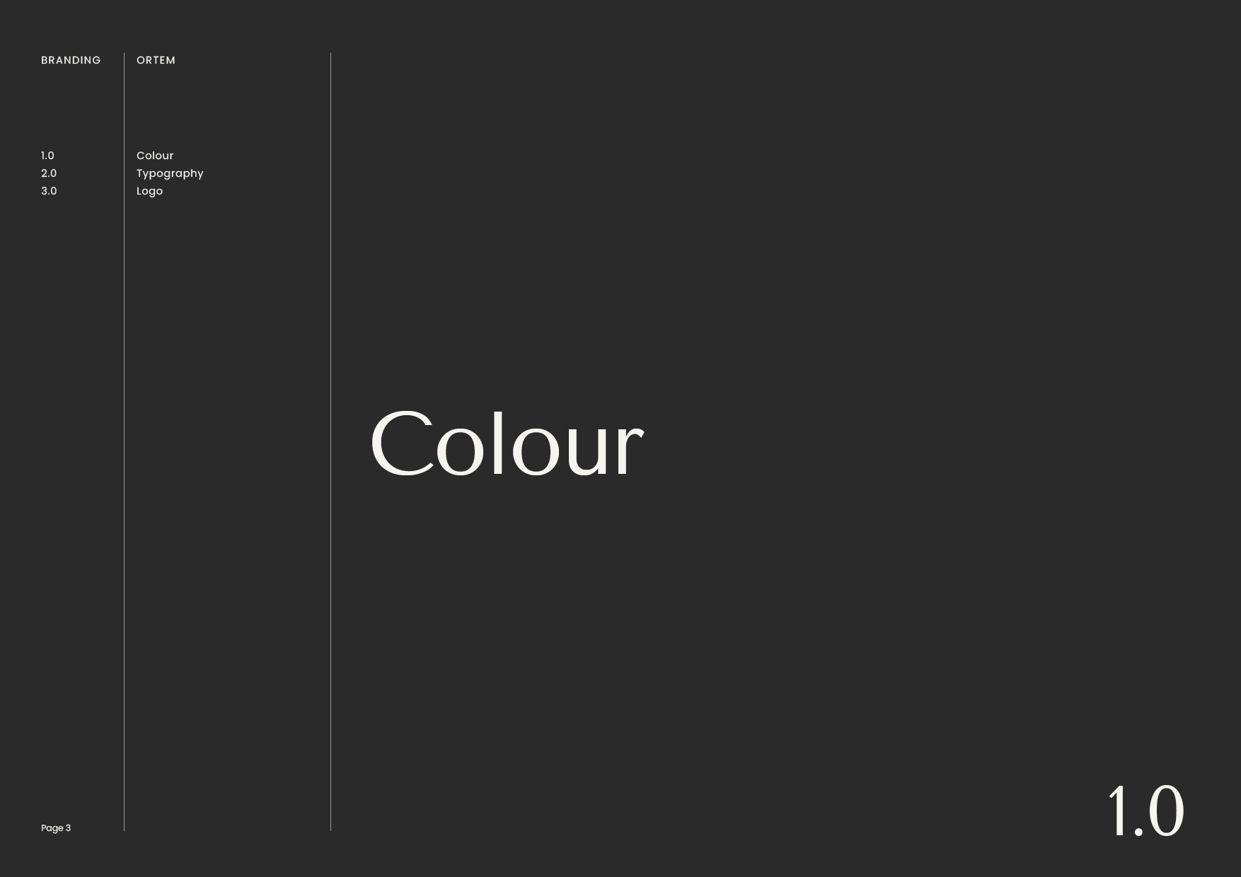 Ortem - Presentation3.png