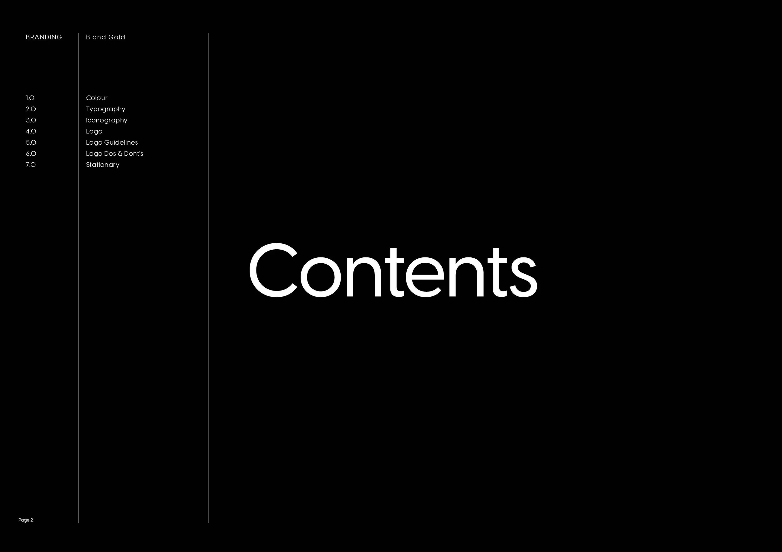 Bit and Gold Brand Guidelines2.jpg