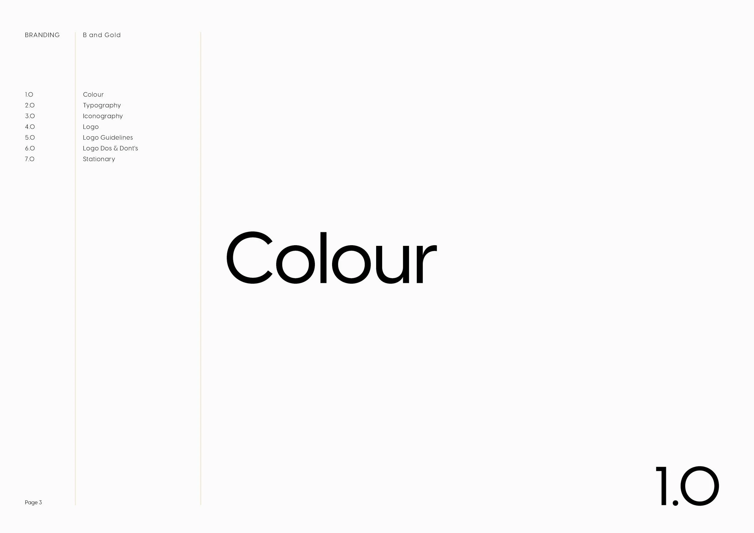 Bit and Gold Brand Guidelines3.jpg