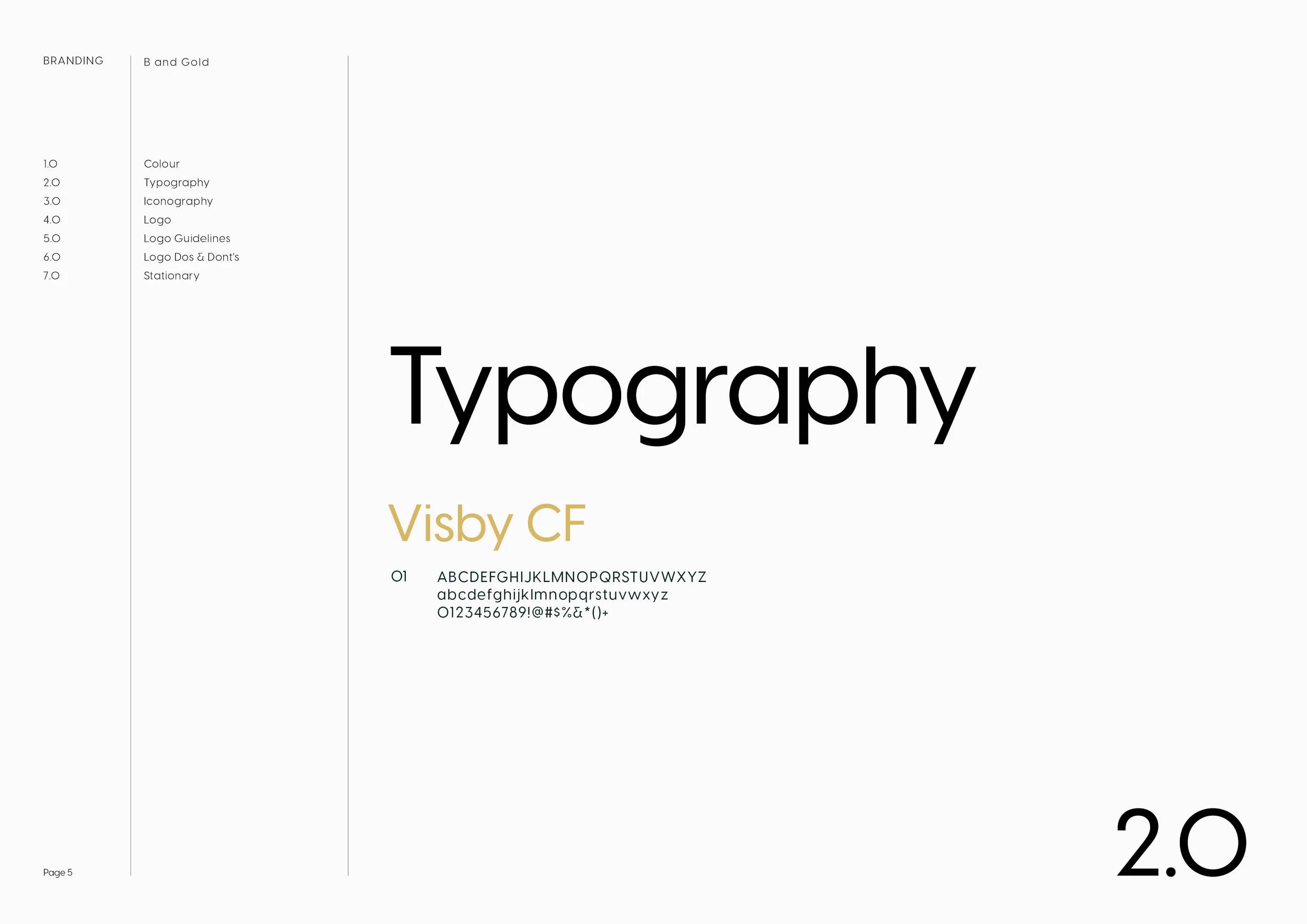 Bit and Gold Brand Guidelines5.jpg