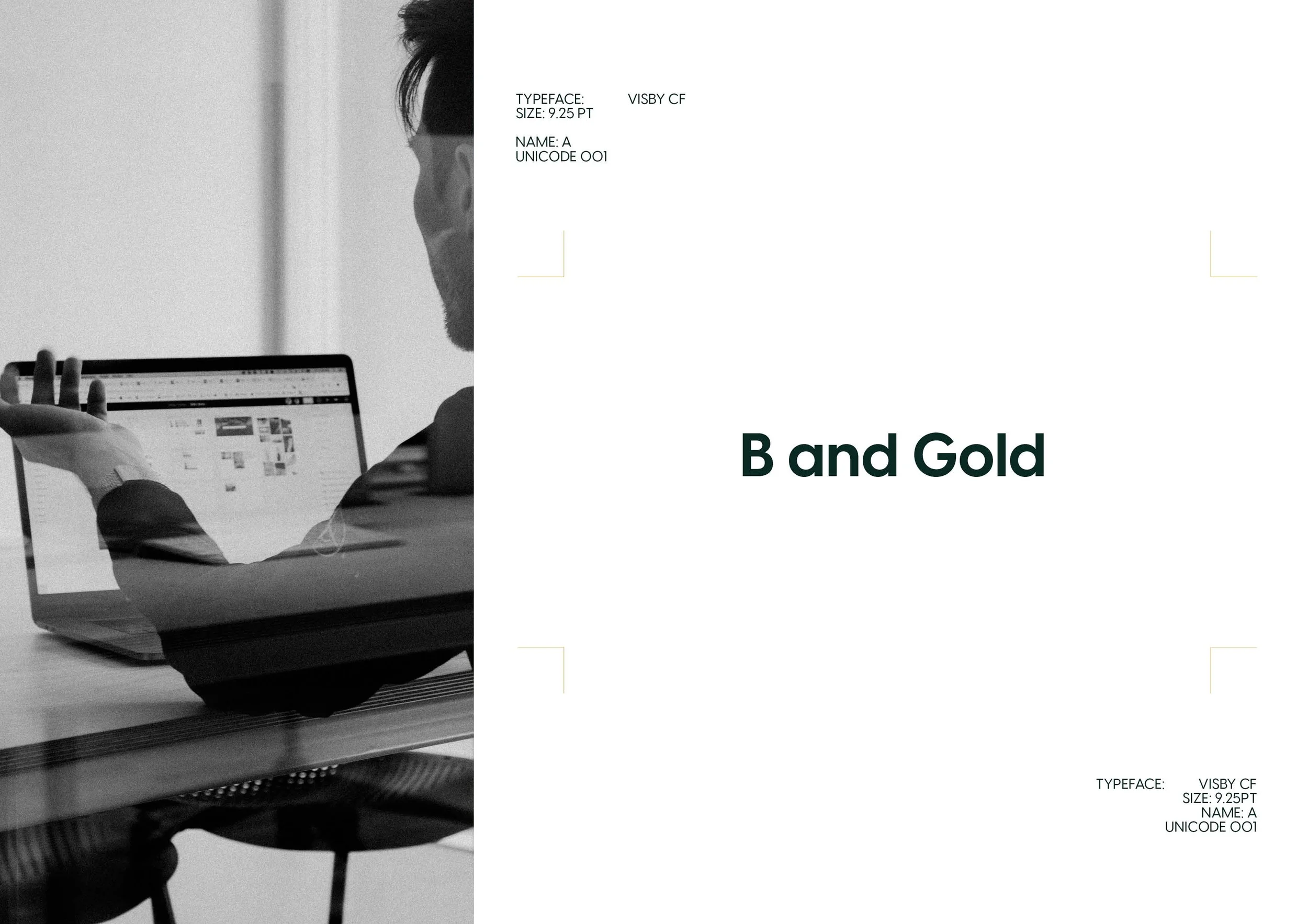 Bit and Gold Brand Guidelines8.jpg