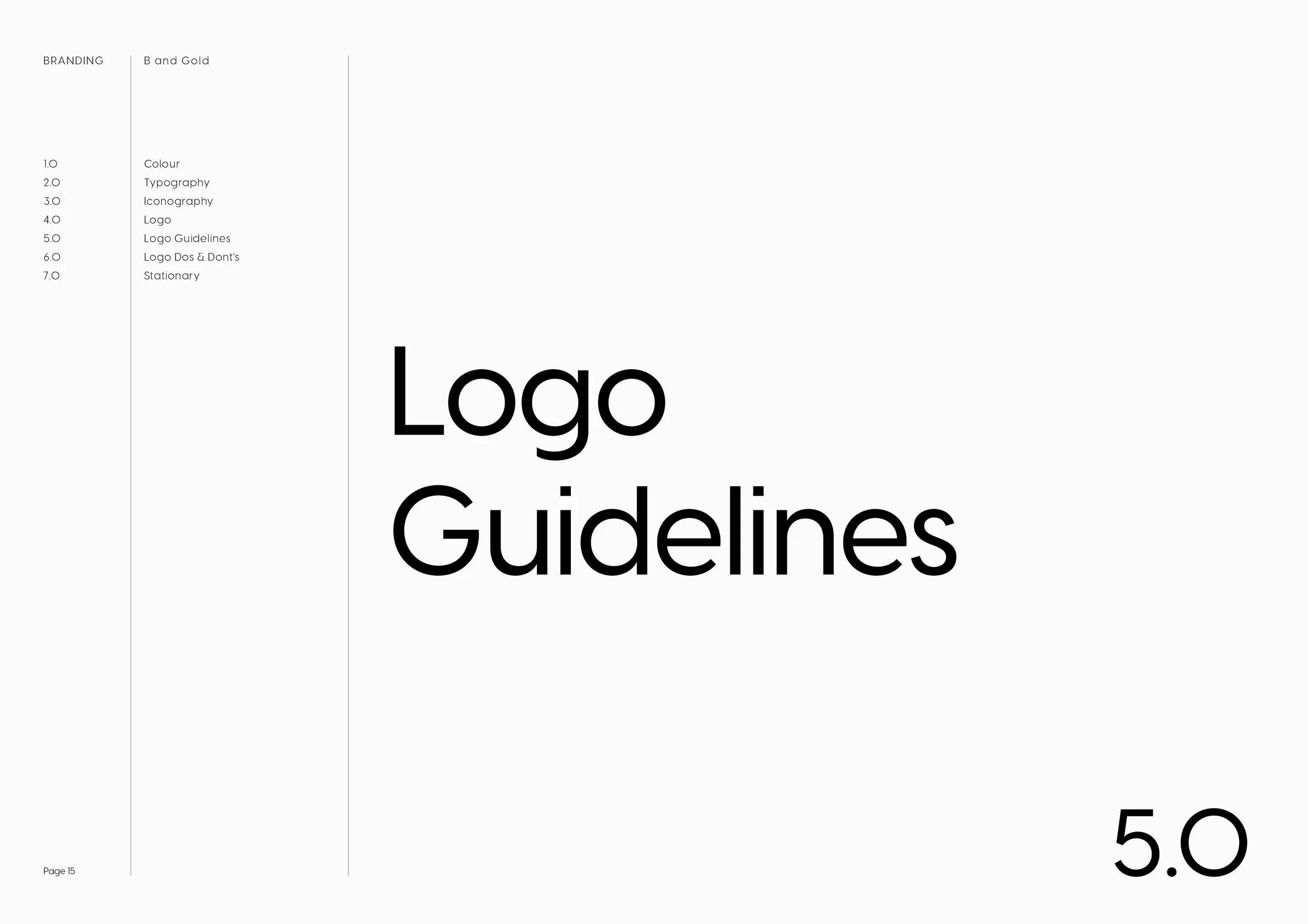 Bit and Gold Brand Guidelines15.jpg