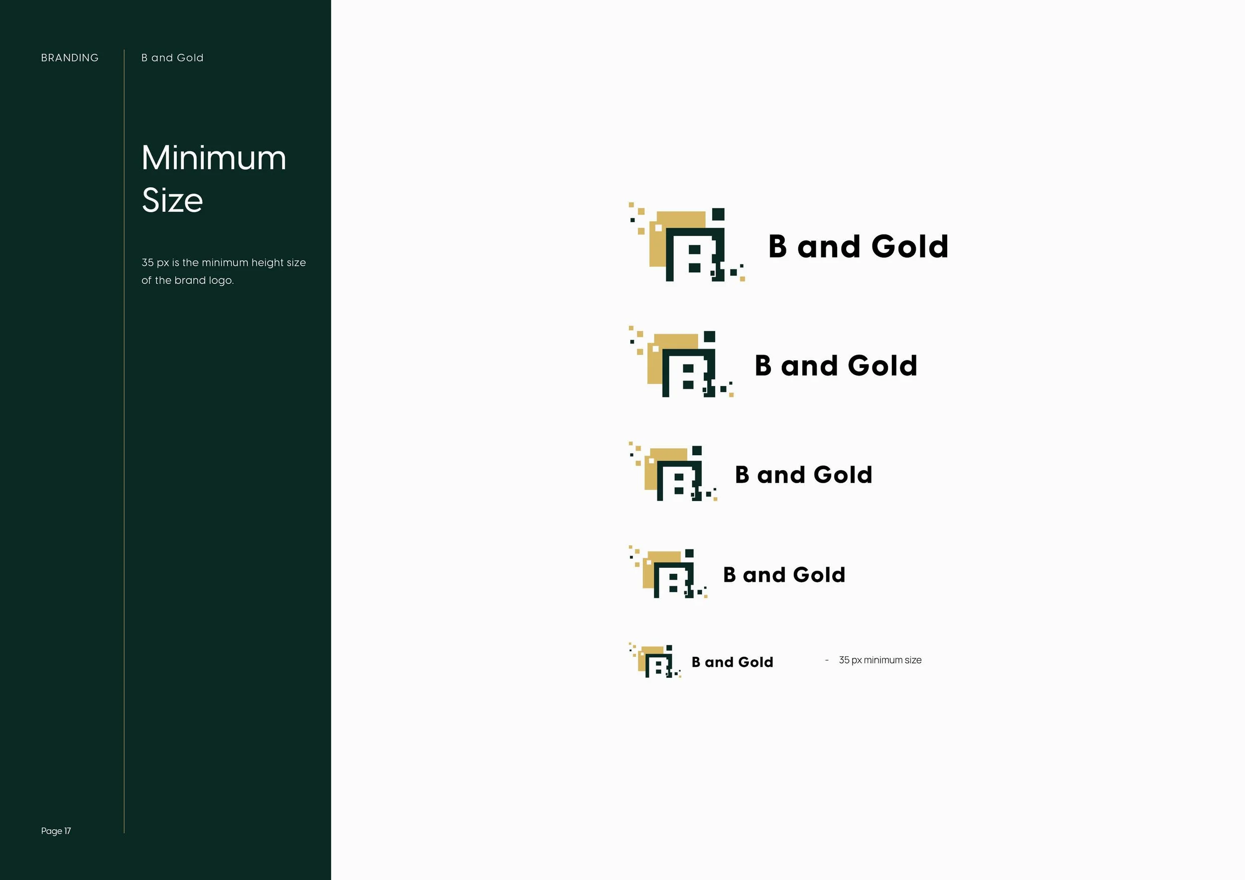 Bit and Gold Brand Guidelines17.jpg