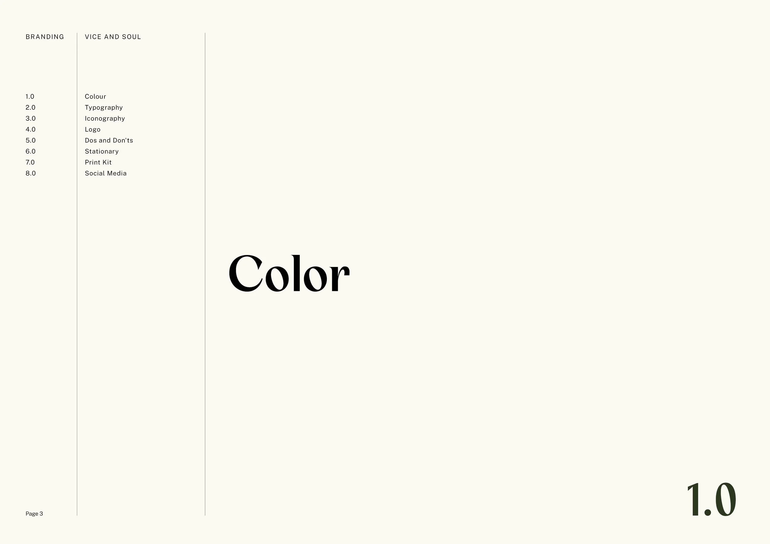Vice And Soul Brand Presentation3.jpg