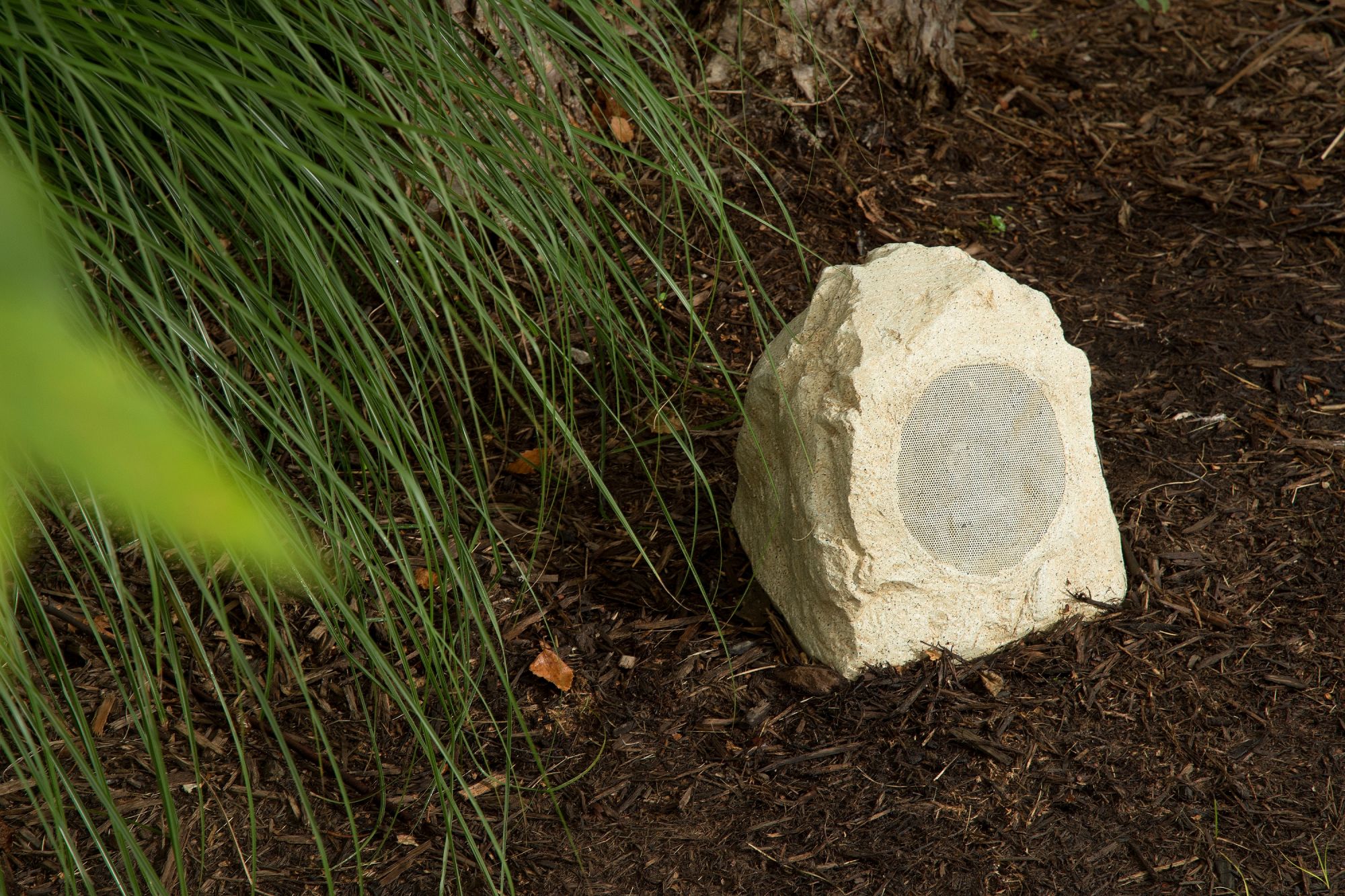 Klipsch_Rocks_3.jpg