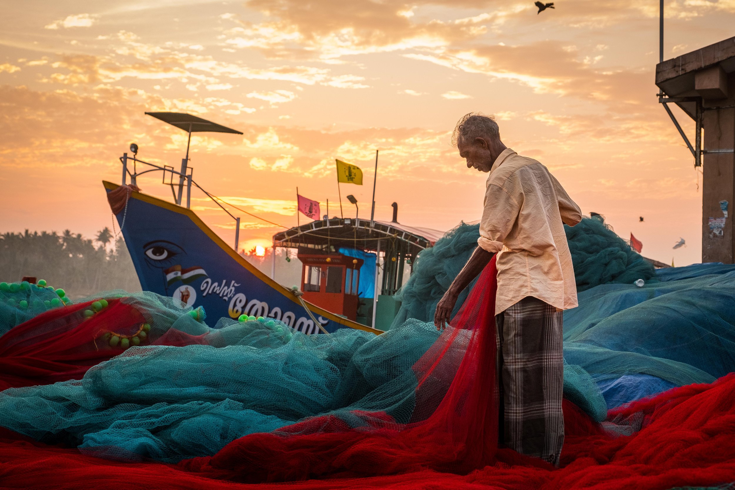  Fisherman setting up his fishing net at thazhampalli fish market in chirayinkeezhu, kerala, india.  