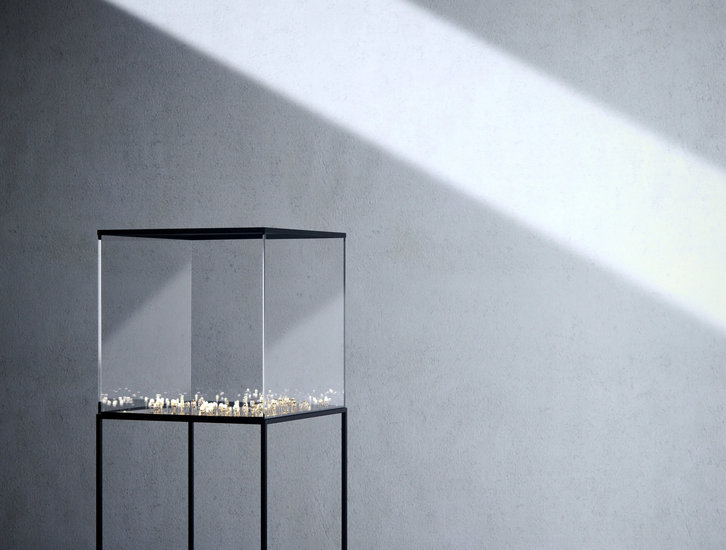 K034_LIGHT CULTURE_TIF.jpg