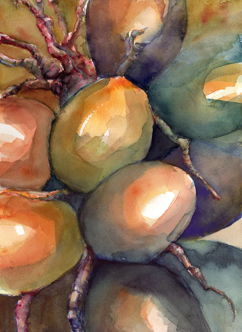 Paradise Palm No. 4