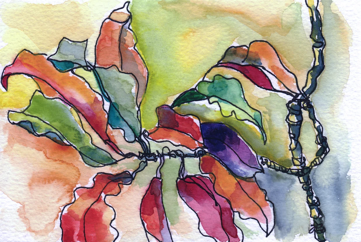 Croton No. 18