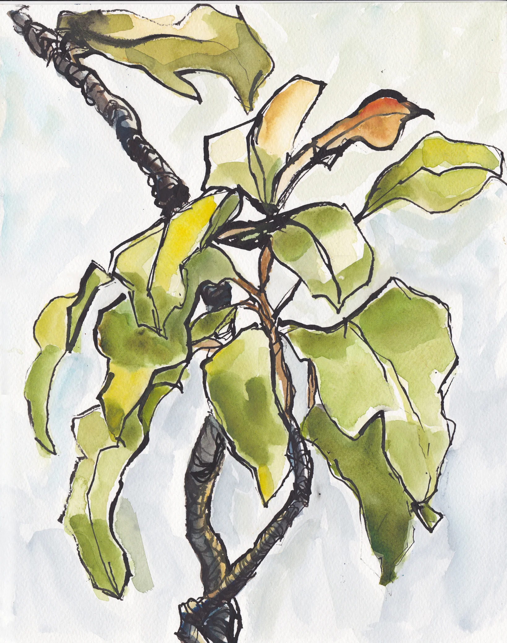 4211 Croton NO 21  wide.jpg