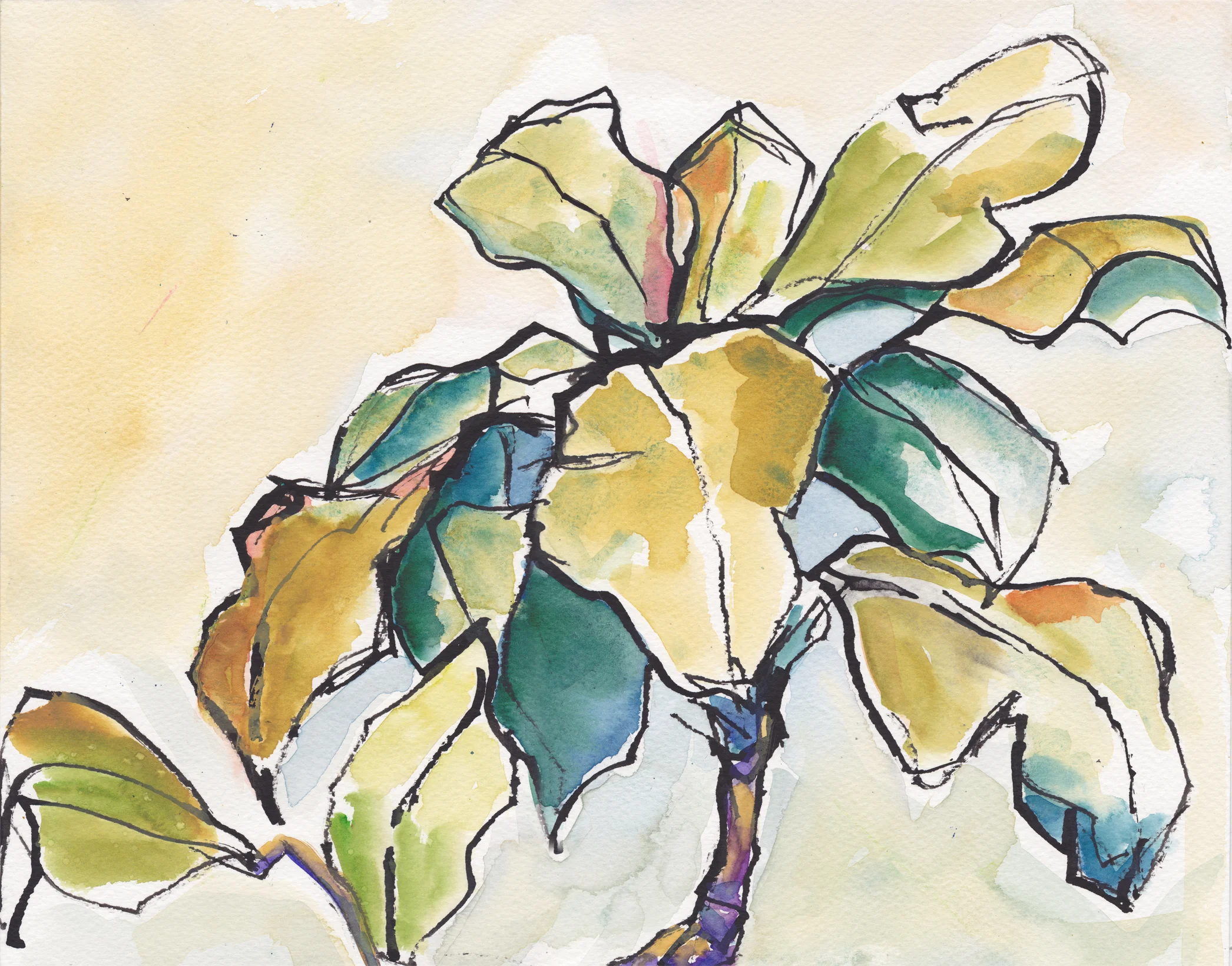 2nd Croton wide.jpg