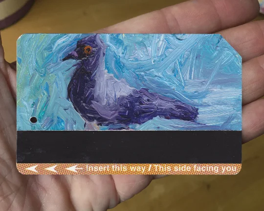 Pigeon 12.jpg