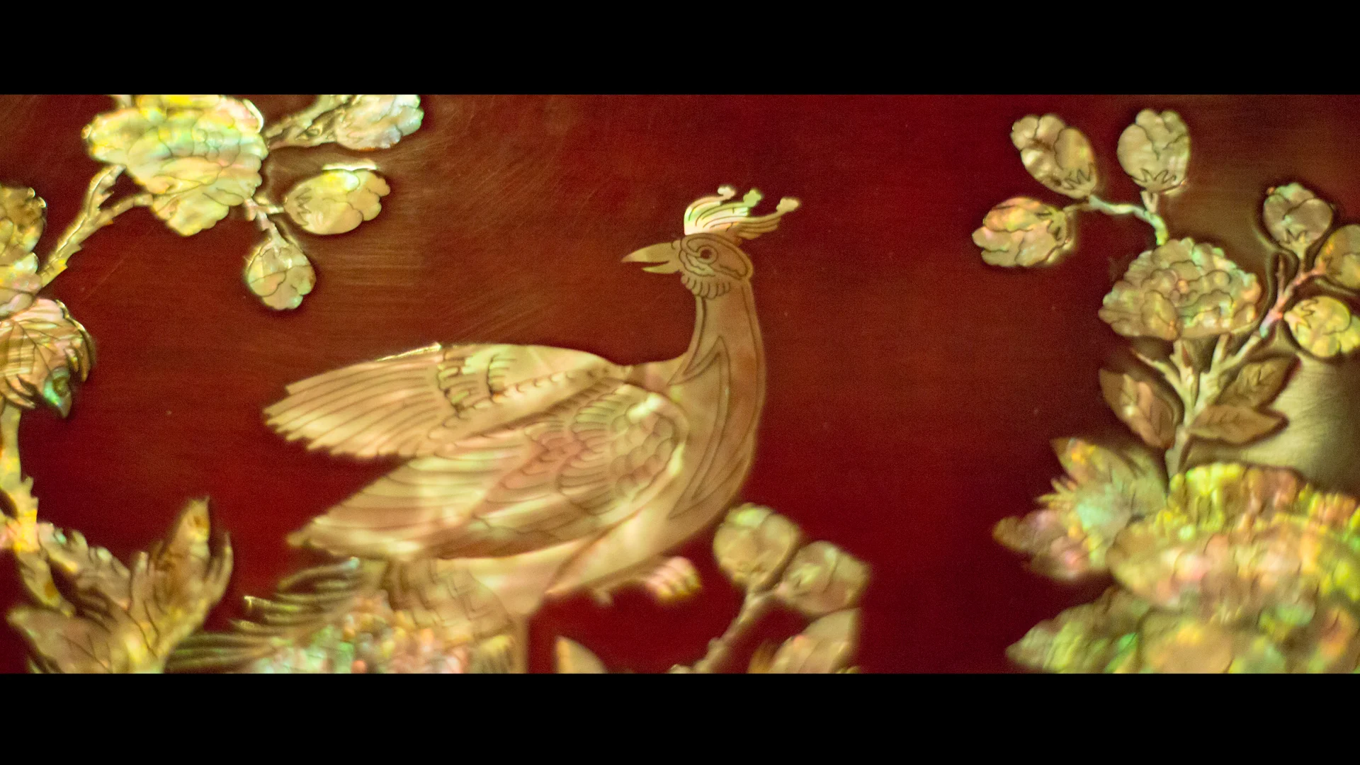 birdy3.jpg