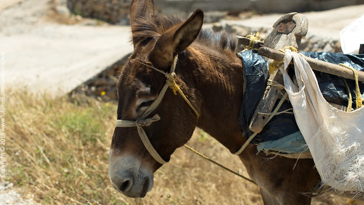 folegandros donkey
