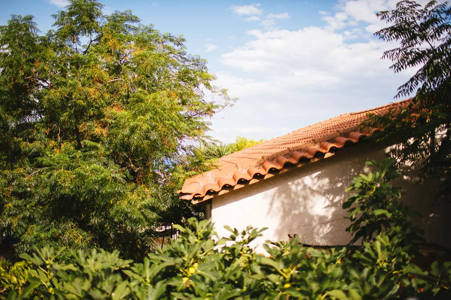 κτημα τζωρτζη γαμος